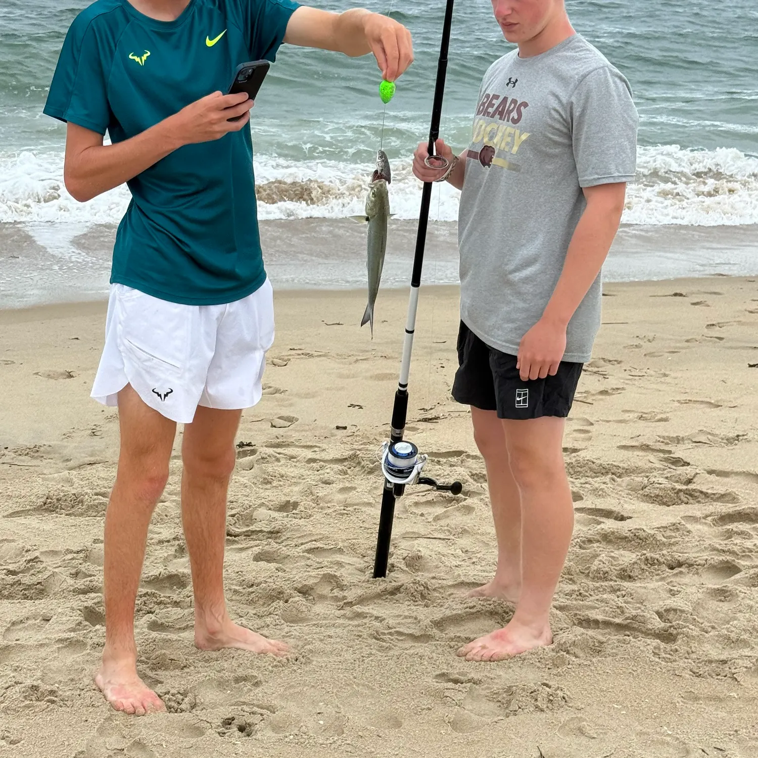 Bluefish caught on Fishbrain