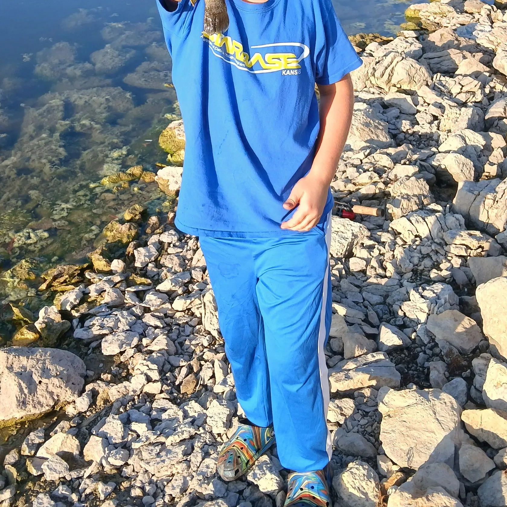 The most recent Great white shark catches on Fishbrain