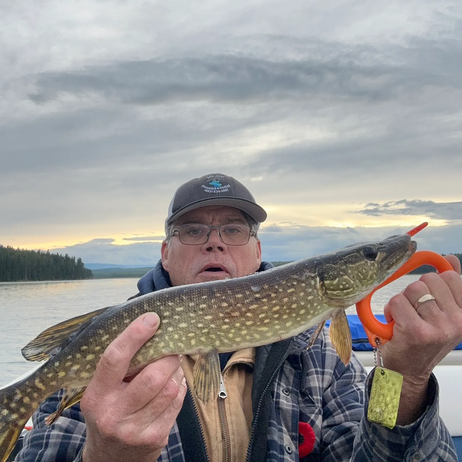 Northern pike caught on Fishbrain