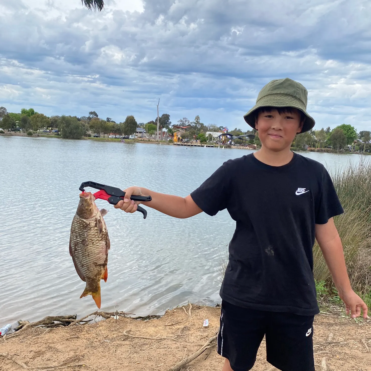 Common carp caught on Fishbrain