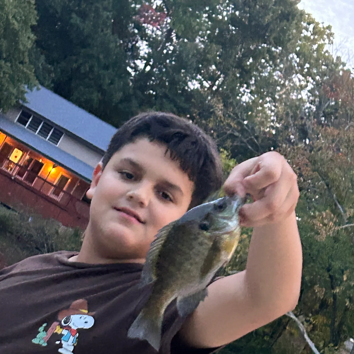 Bluegill caught on Fishbrain