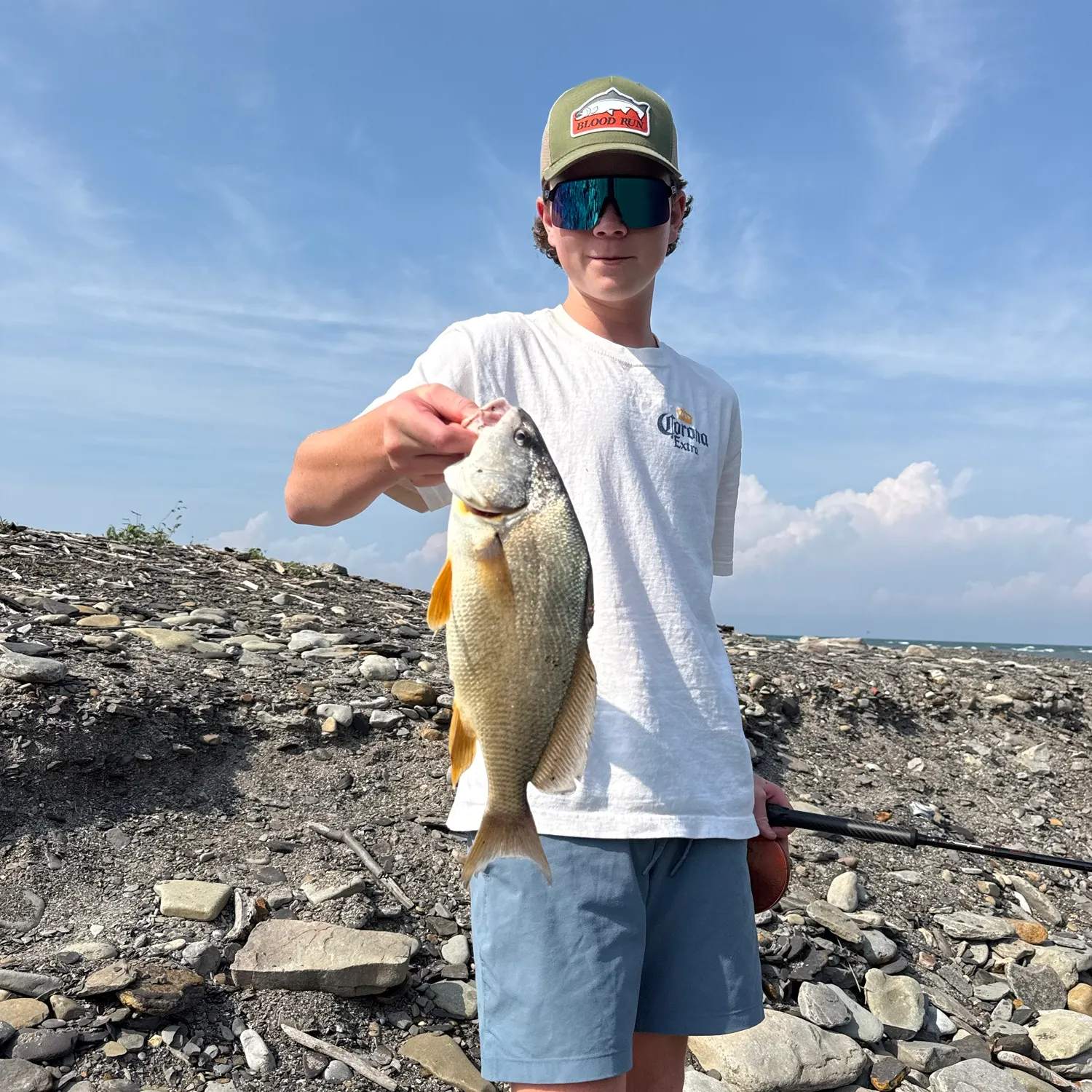 Freshwater drum caught on Fishbrain