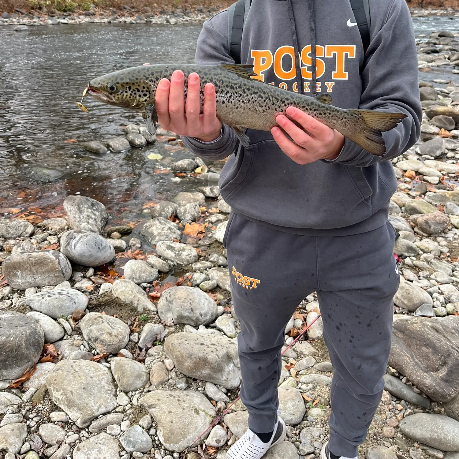 angler catch