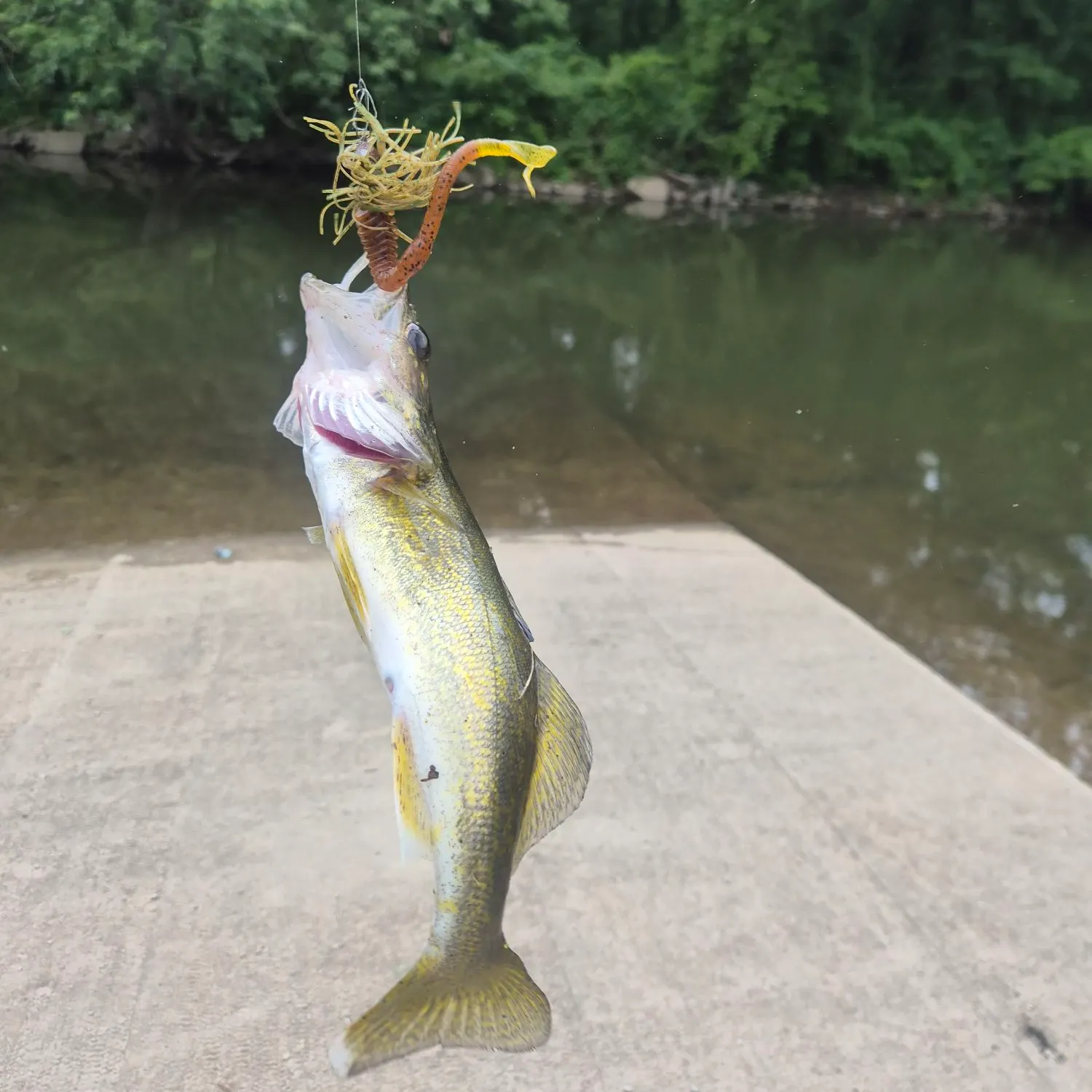cool style fishing lures Amazon.com : Relaxgiant 4 Pcs Funny Fishing Lures, Bass Fishing Lures for  Freshwater Saltwater Top Water, Fish Gear Gag Gift for Fish Lovers, Men,  Father's Day, White Elephant Gift : Sports & Outdoors