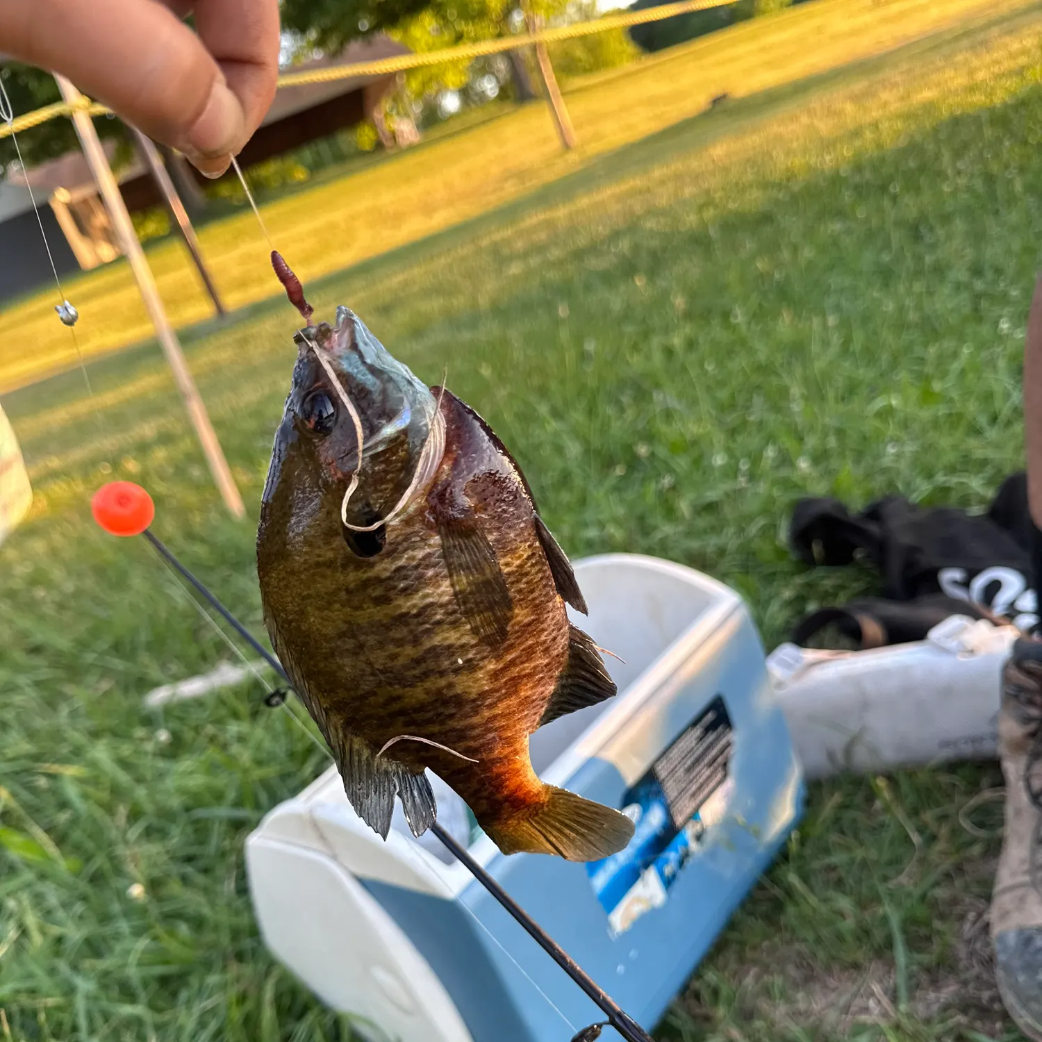 catch