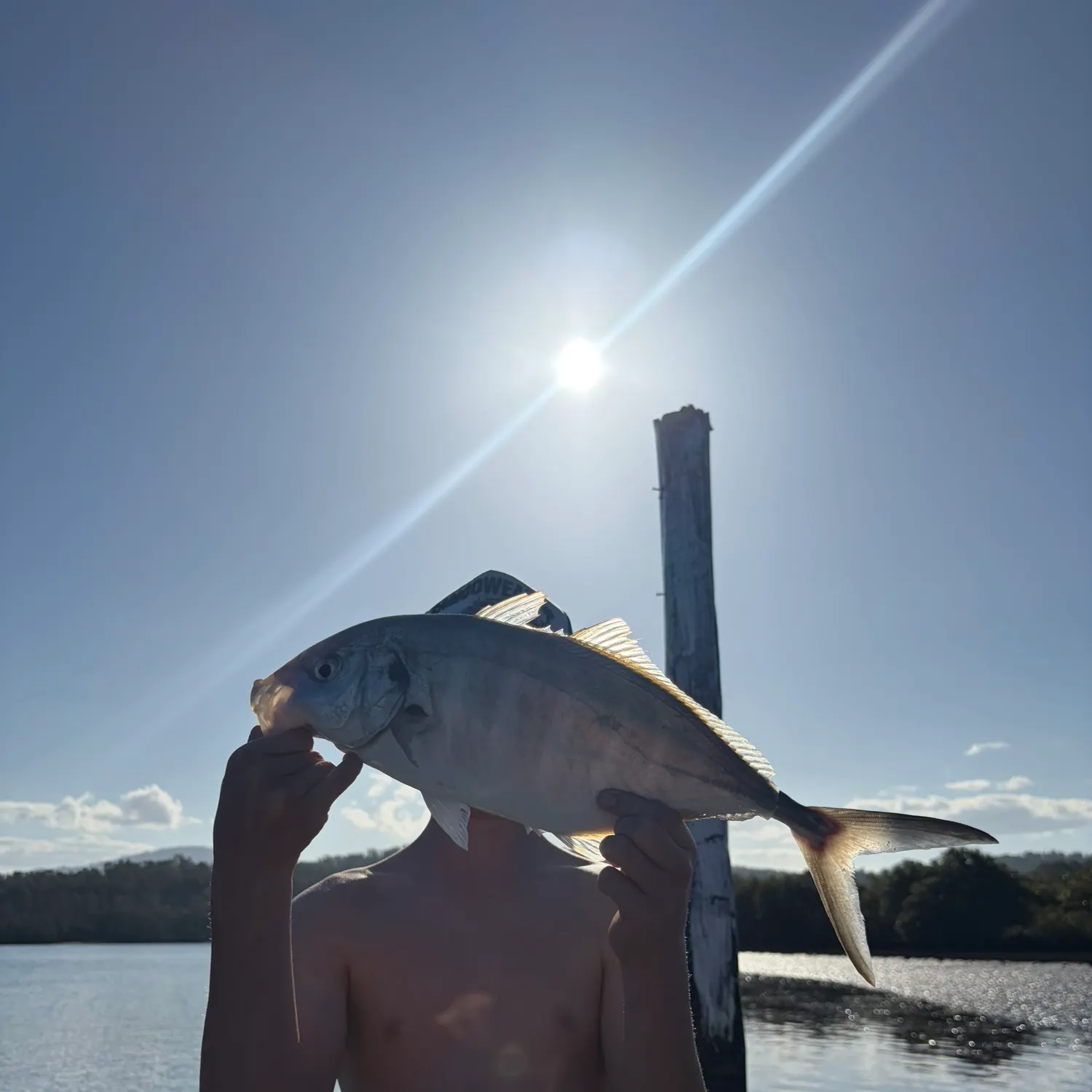 Silver trevally caught on Fishbrain