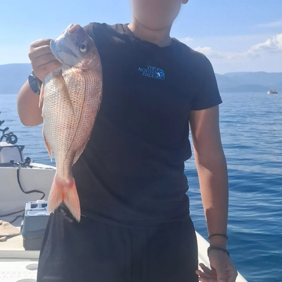 Pink dentex caught on Fishbrain
