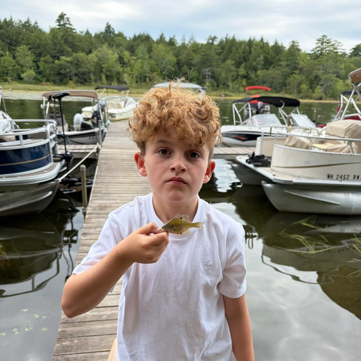 The most recent Spotted sunfish catches on Fishbrain