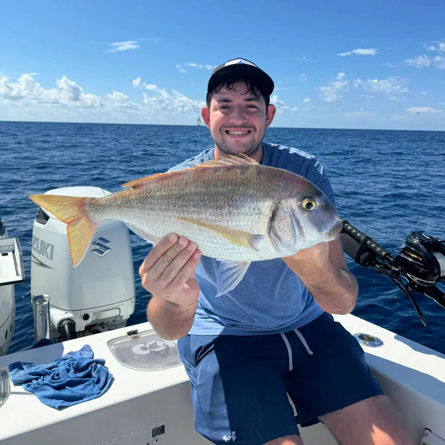 The most recent Common seabream catches on Fishbrain