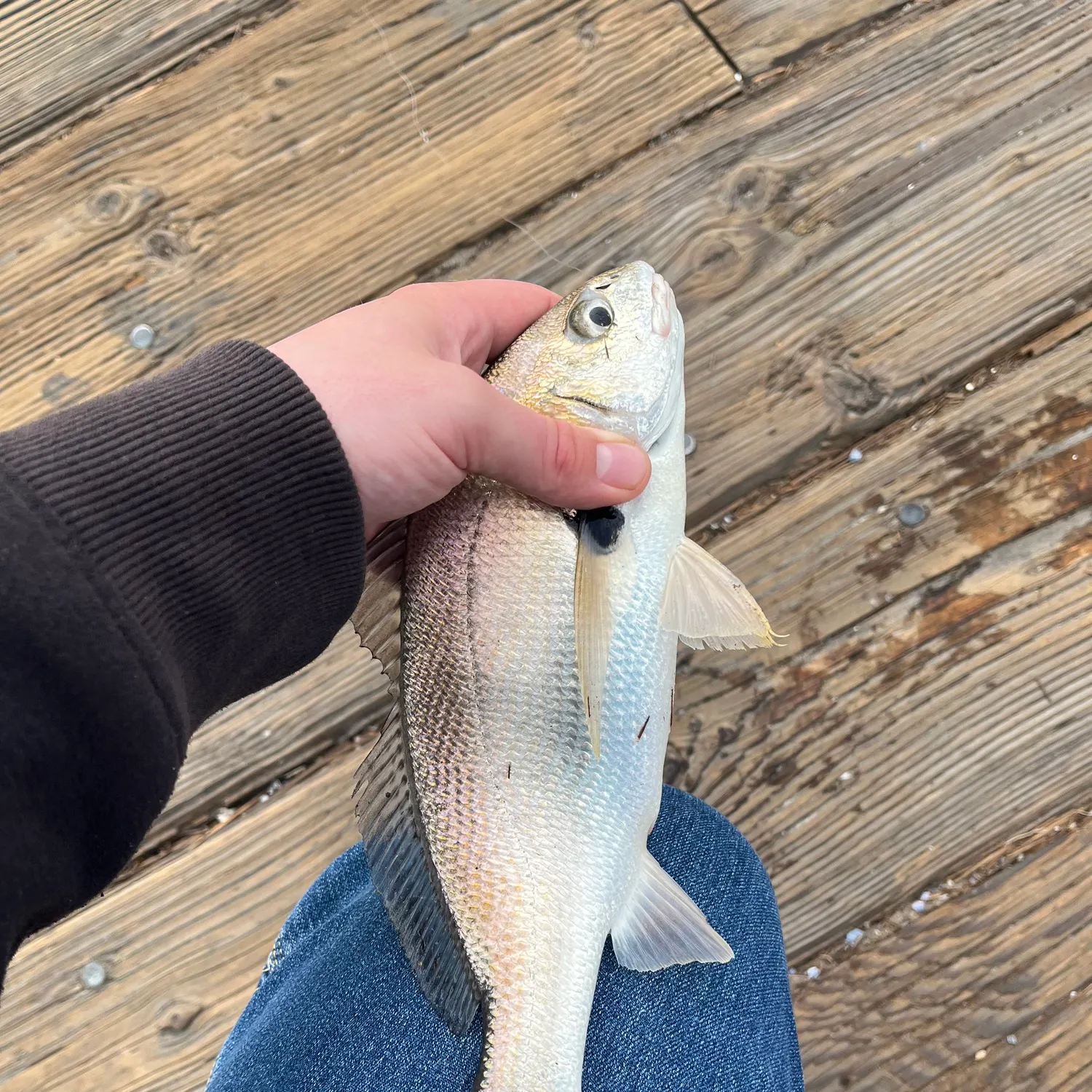 most liked catch image