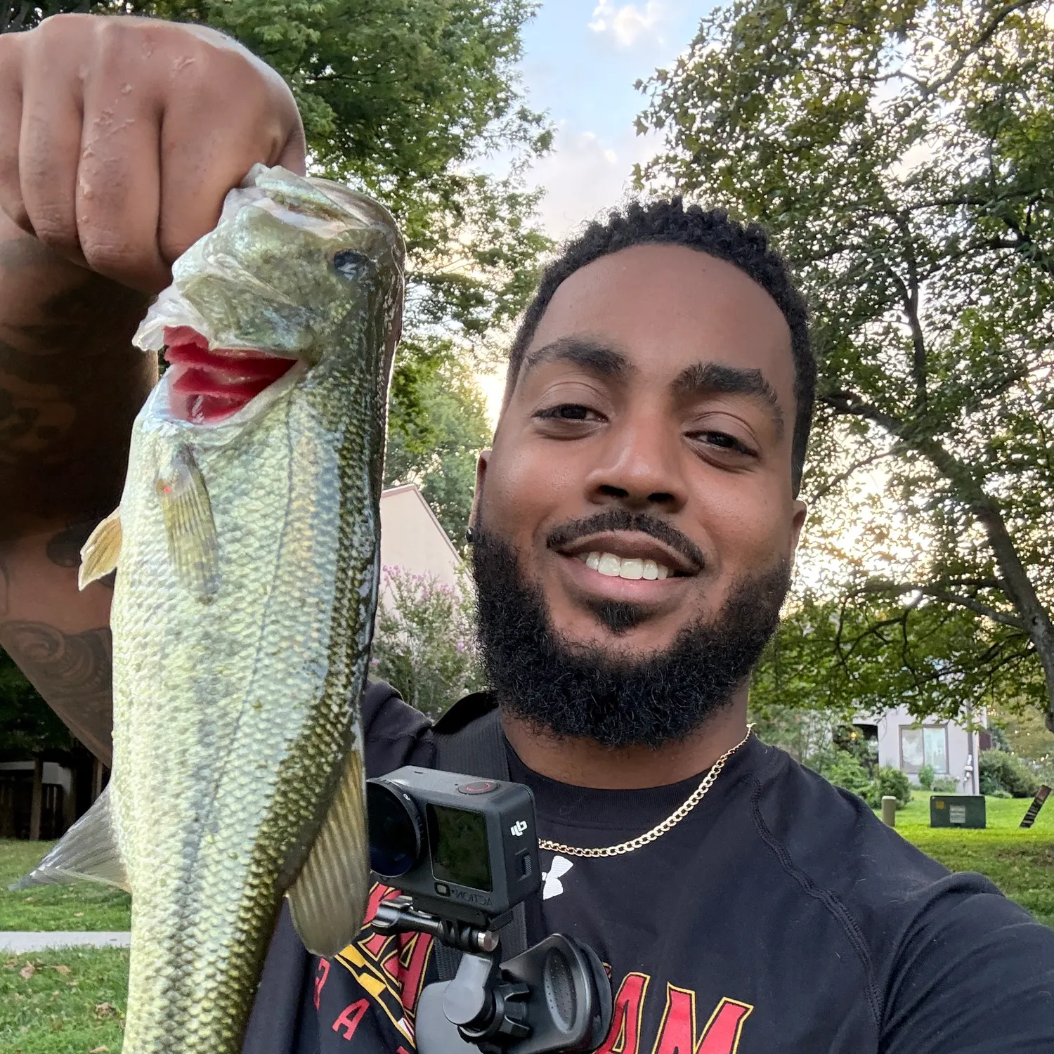 Largemouth bass caught on Fishbrain