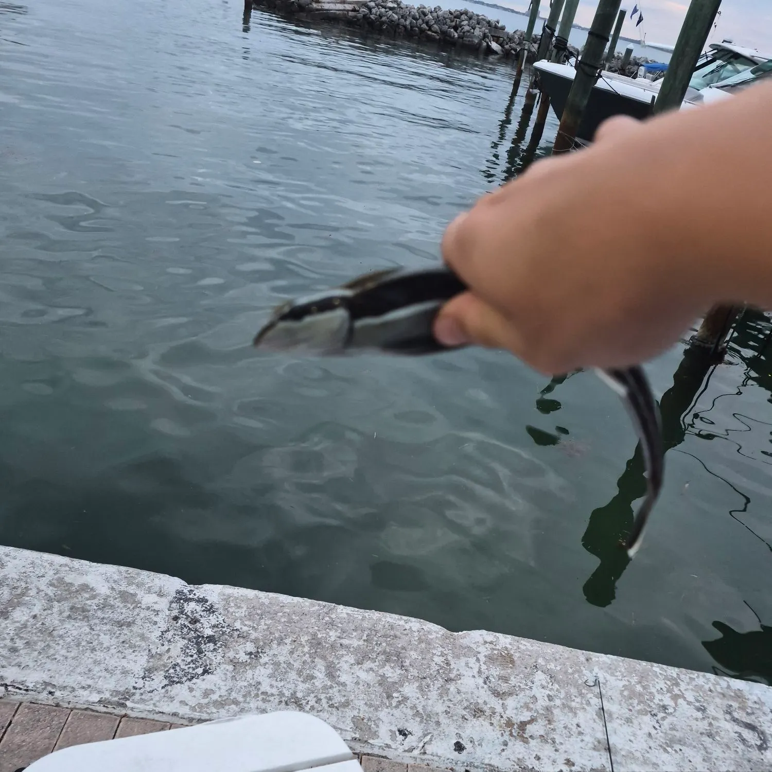 catch