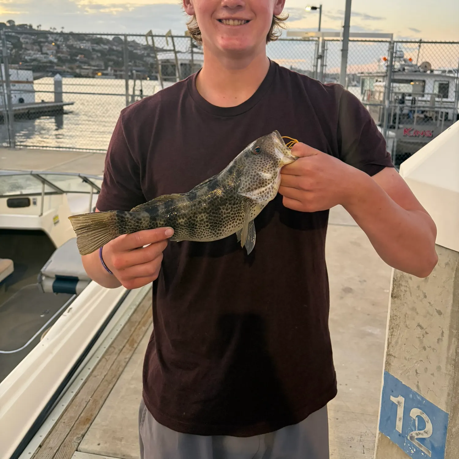 The most recent Spotted sand bass catches on Fishbrain