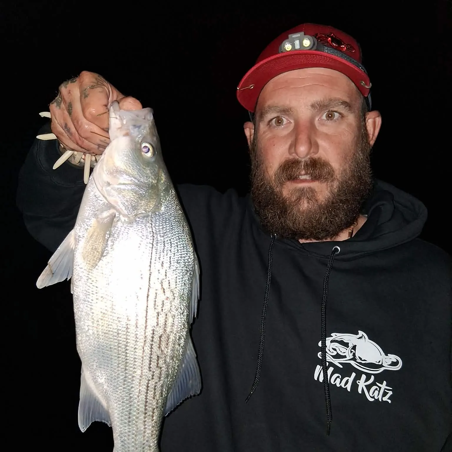 Wiper caught on Fishbrain