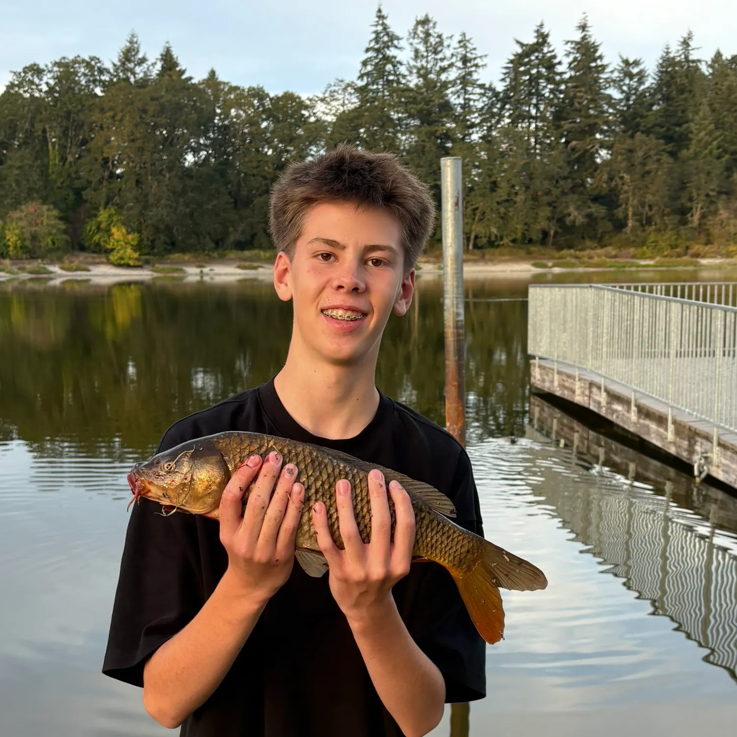 Common carp caught on Fishbrain