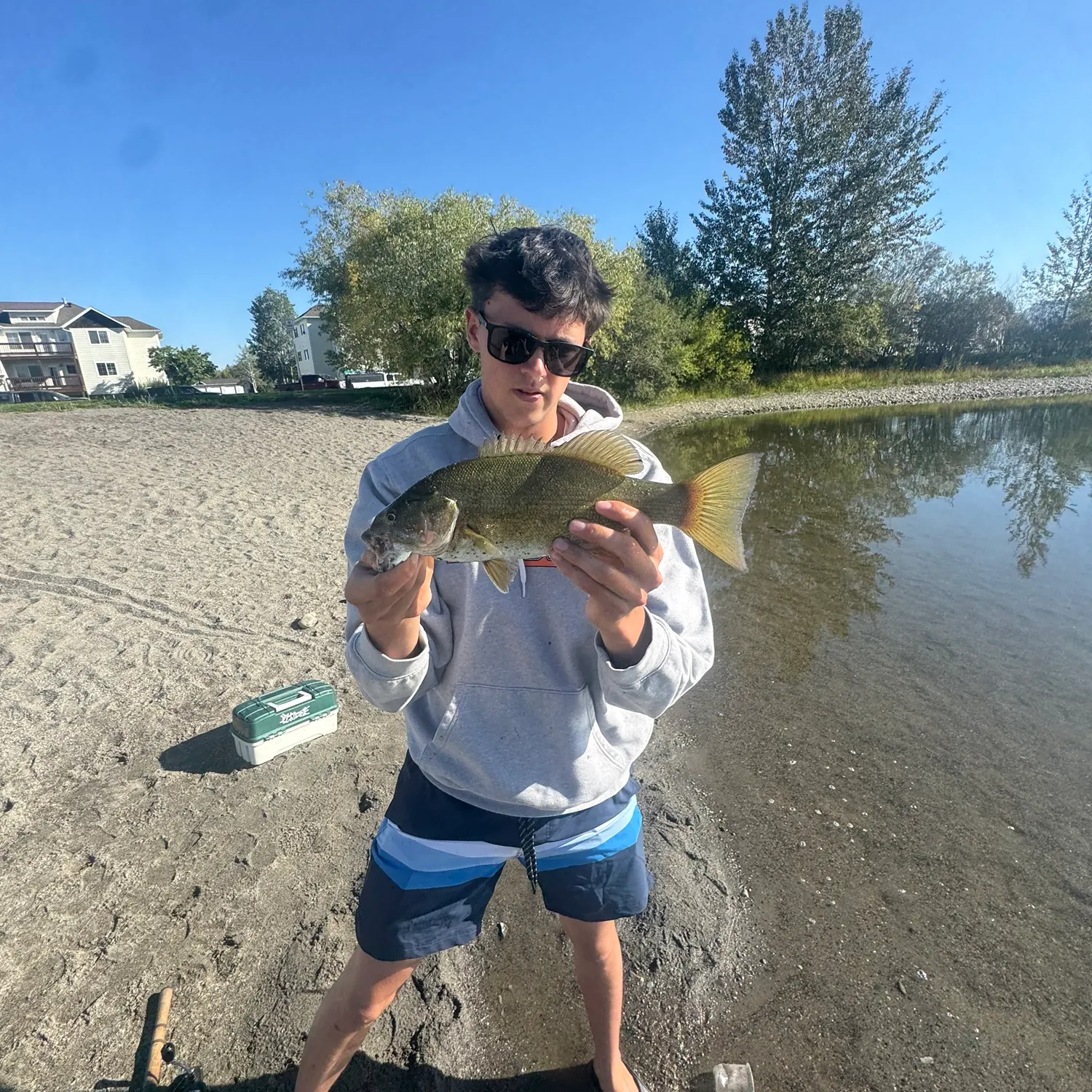 Smallmouth bass caught on Fishbrain