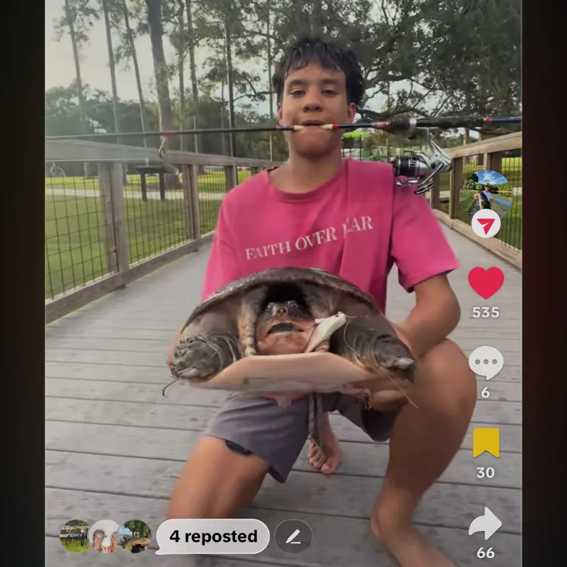 Florida softshell turtle caught on Fishbrain