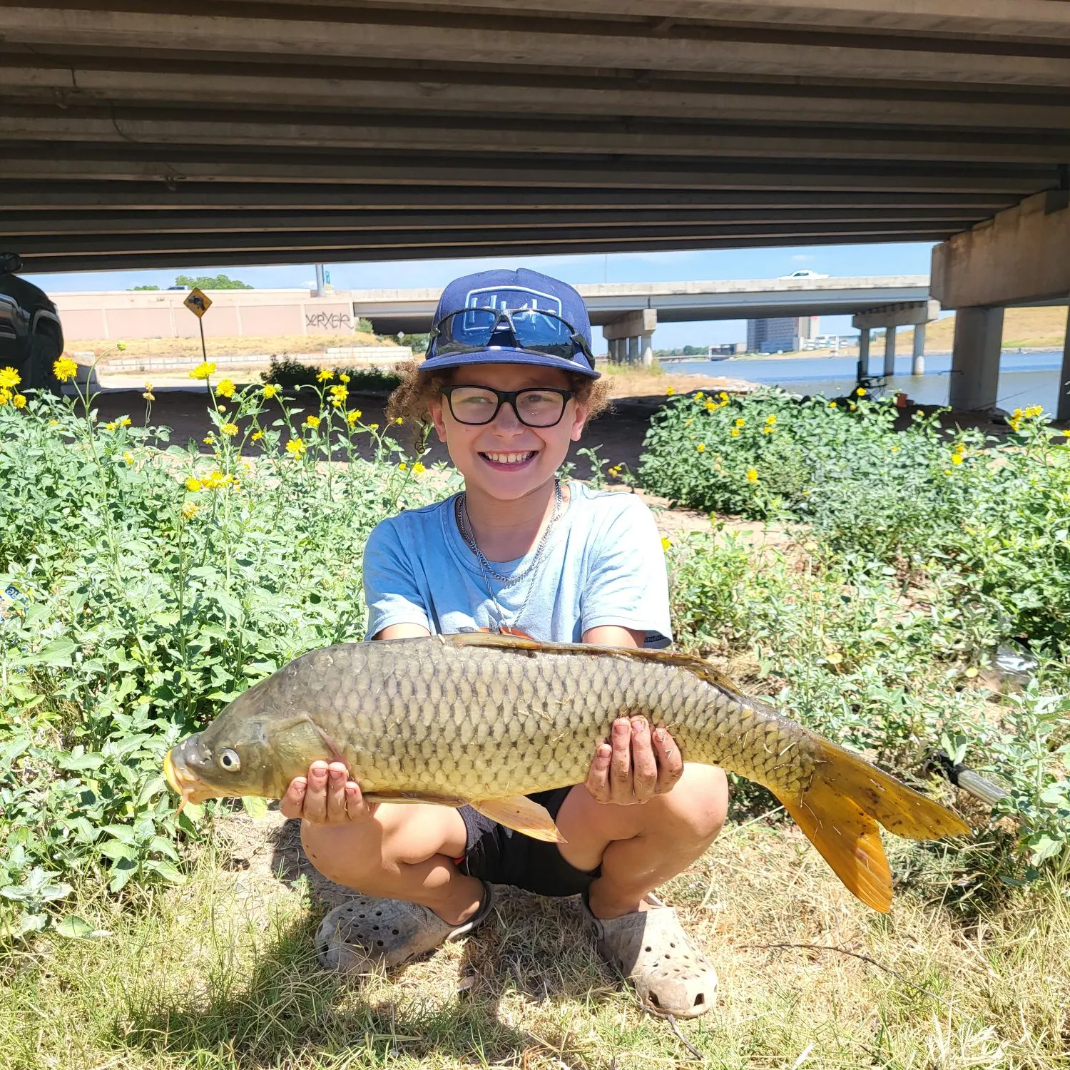 Common carp caught on Fishbrain