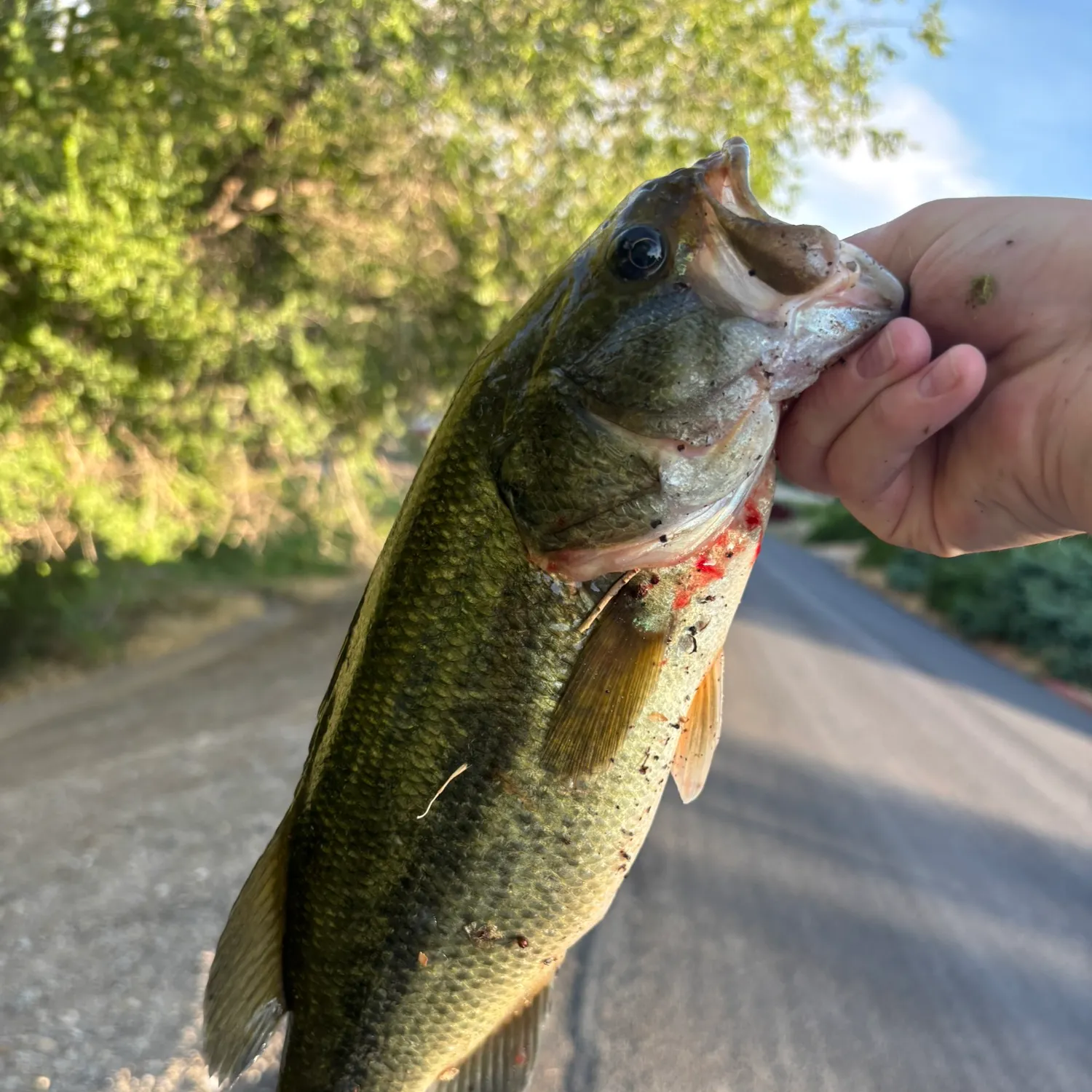 catch