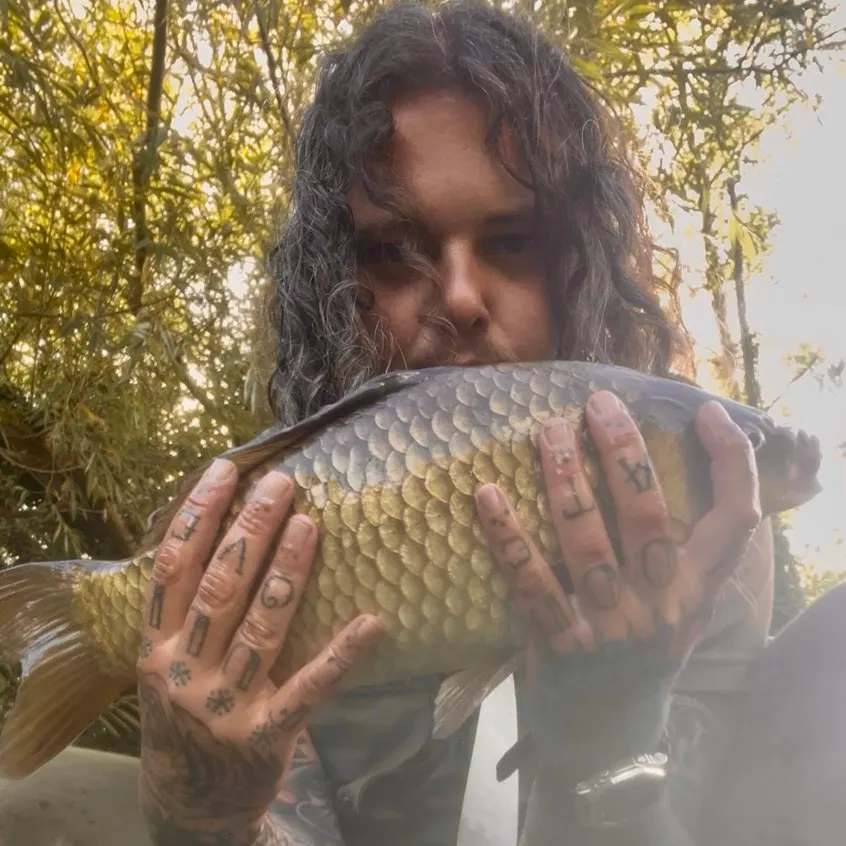 Common carp caught on Fishbrain