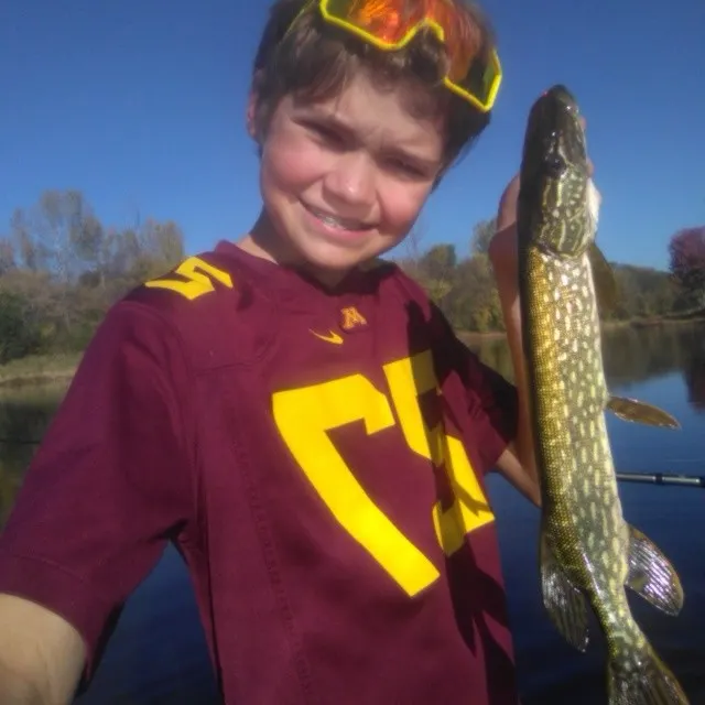 Northern pike caught on Fishbrain
