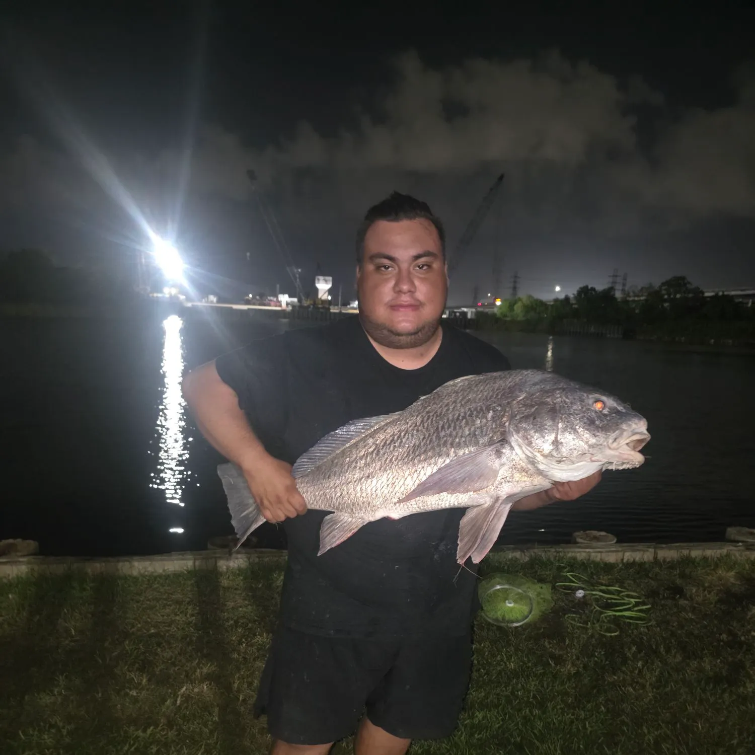 Black drum caught on Fishbrain
