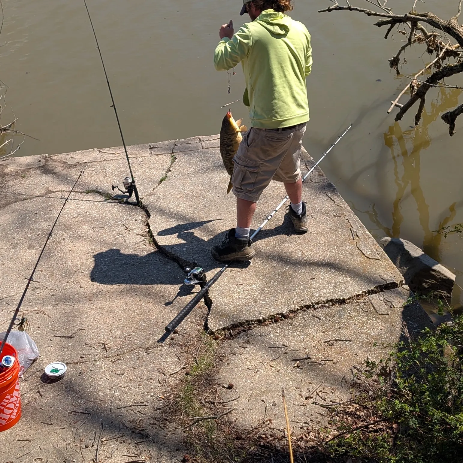 recently logged catches