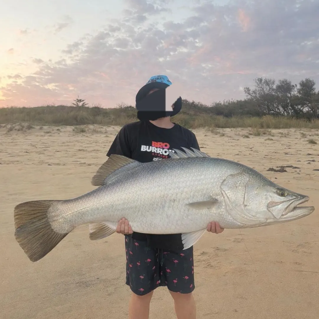 Barramundi caught on Fishbrain