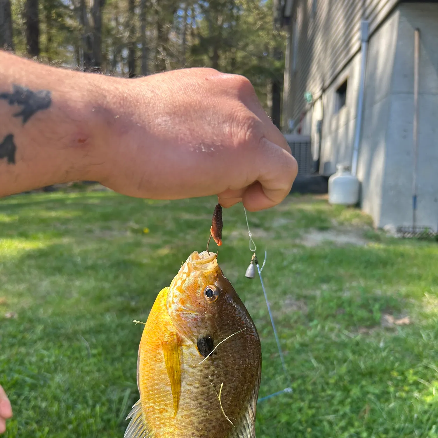 catch