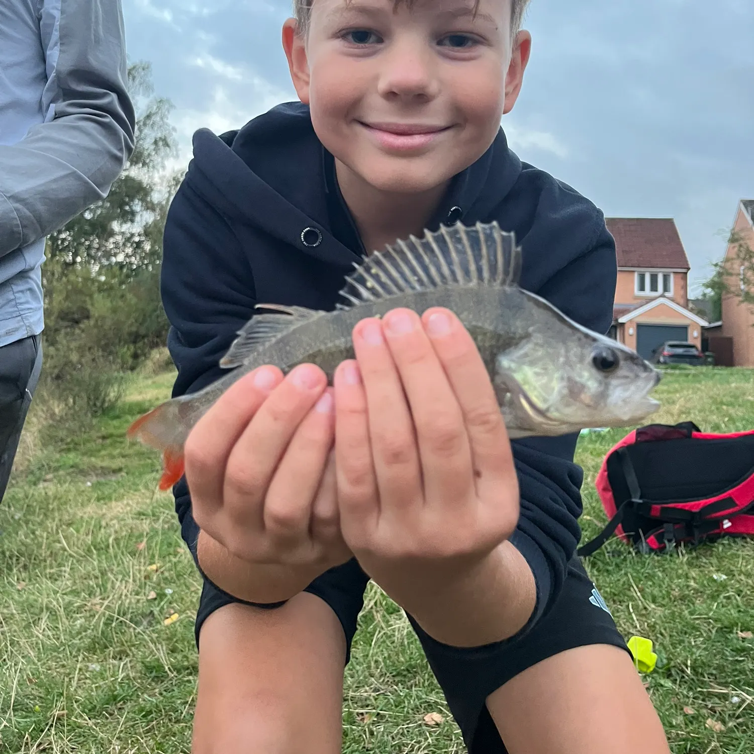 European perch caught on Fishbrain