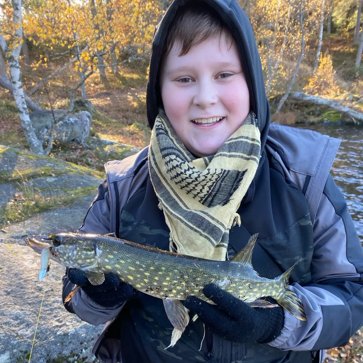 Northern pike caught on Fishbrain