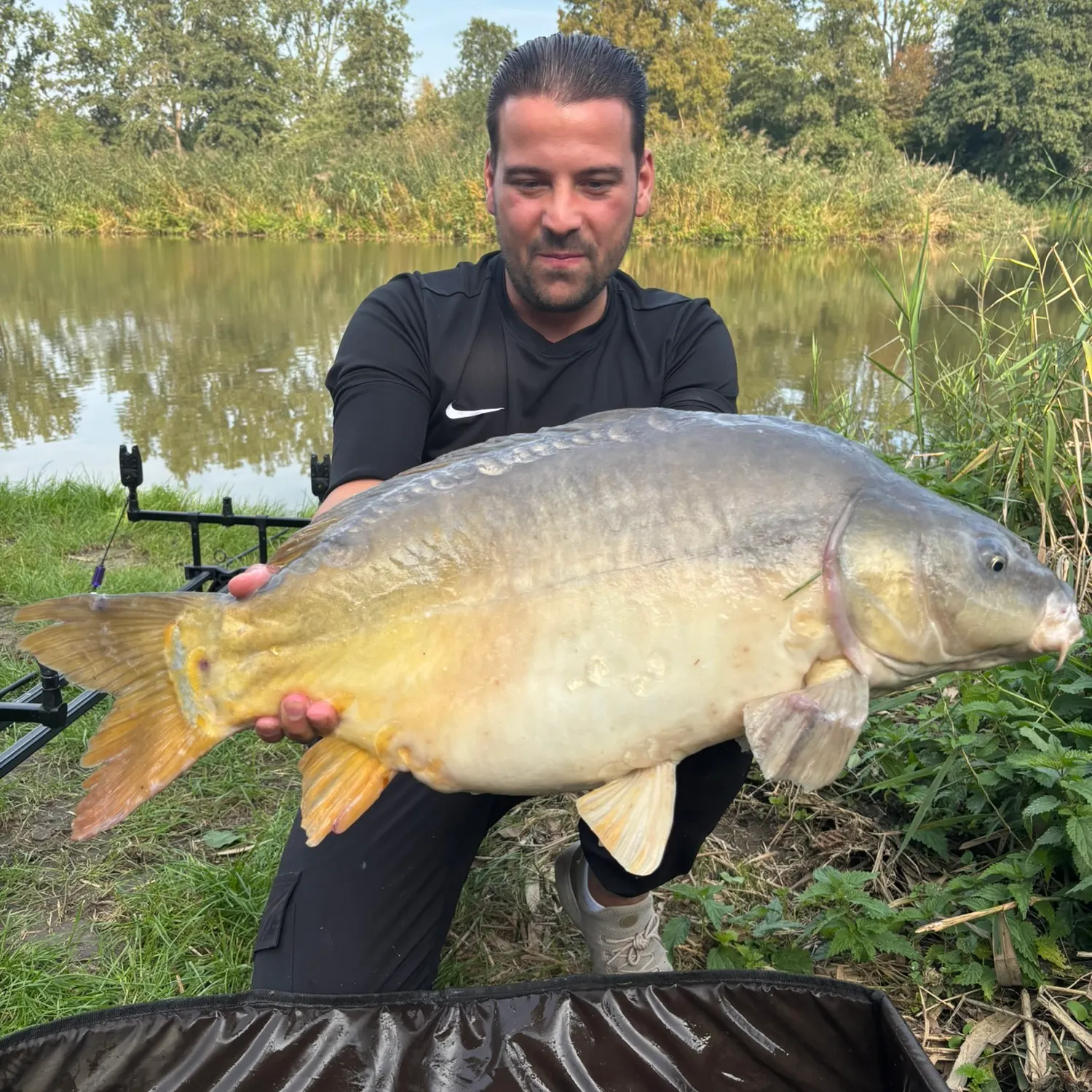 Leather carp caught on Fishbrain
