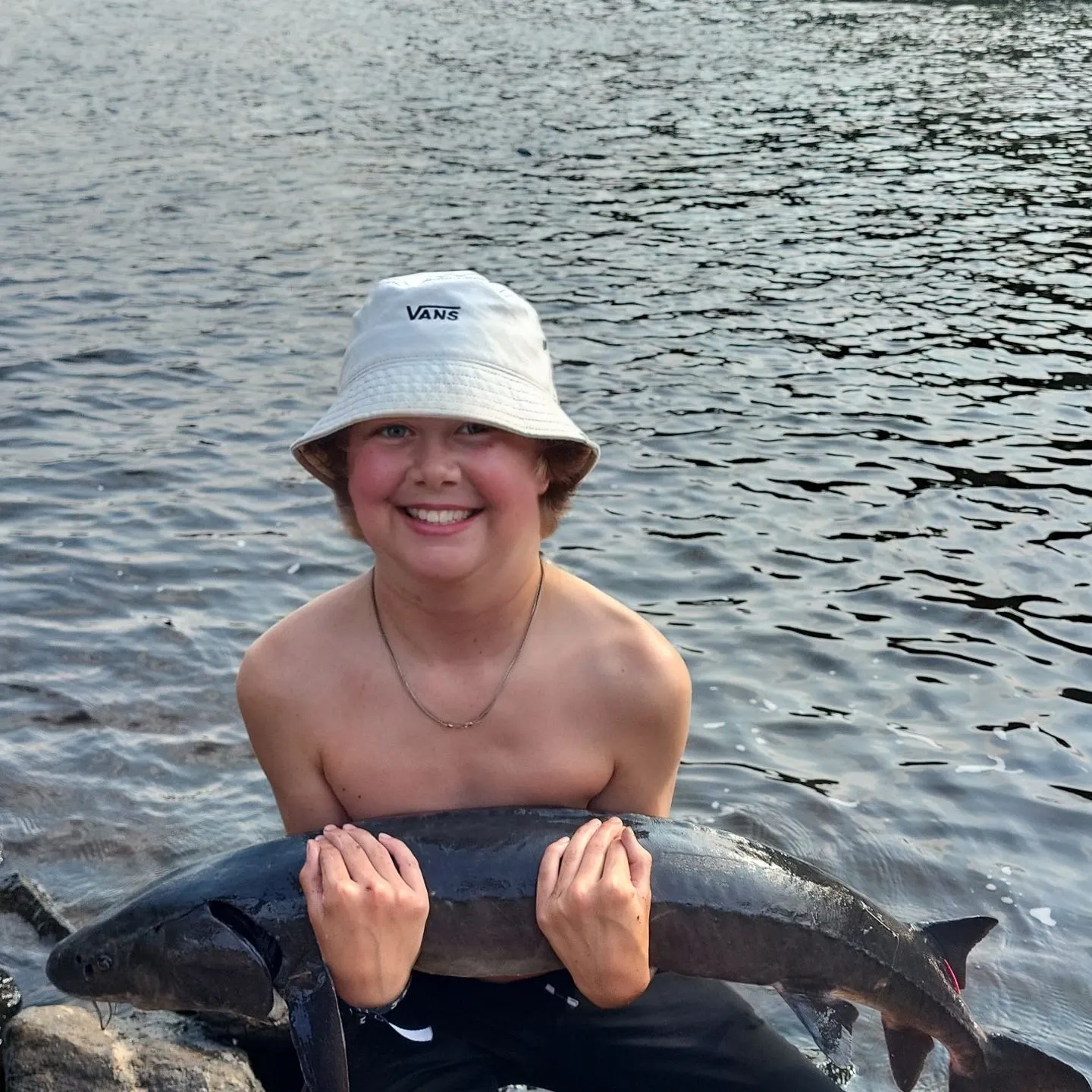 The most recent Great white shark catches on Fishbrain