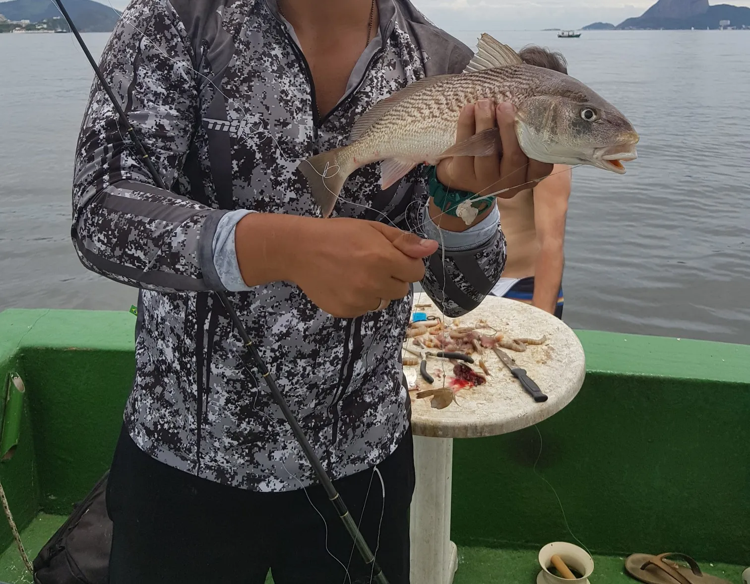 Atlantic croaker