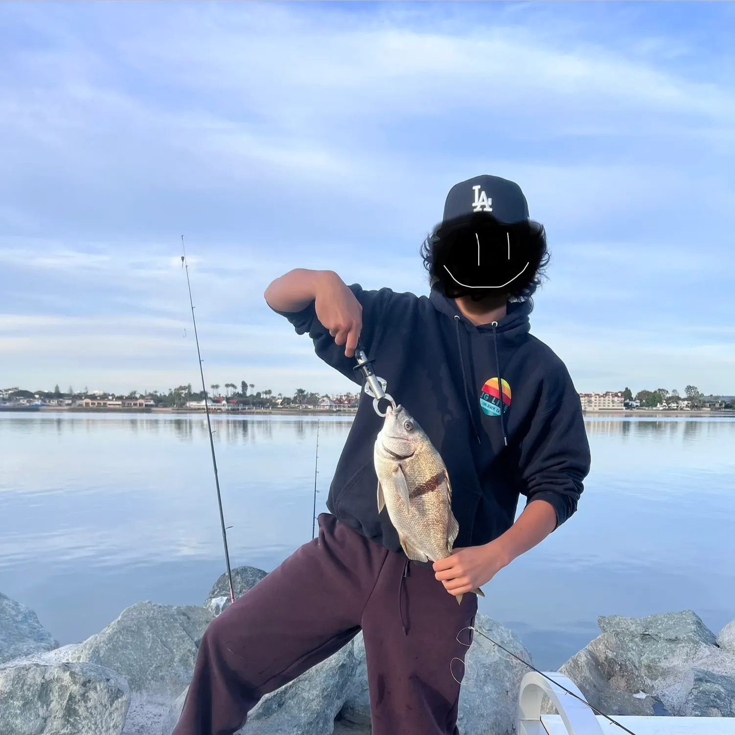 The most recent Sargo catches on Fishbrain