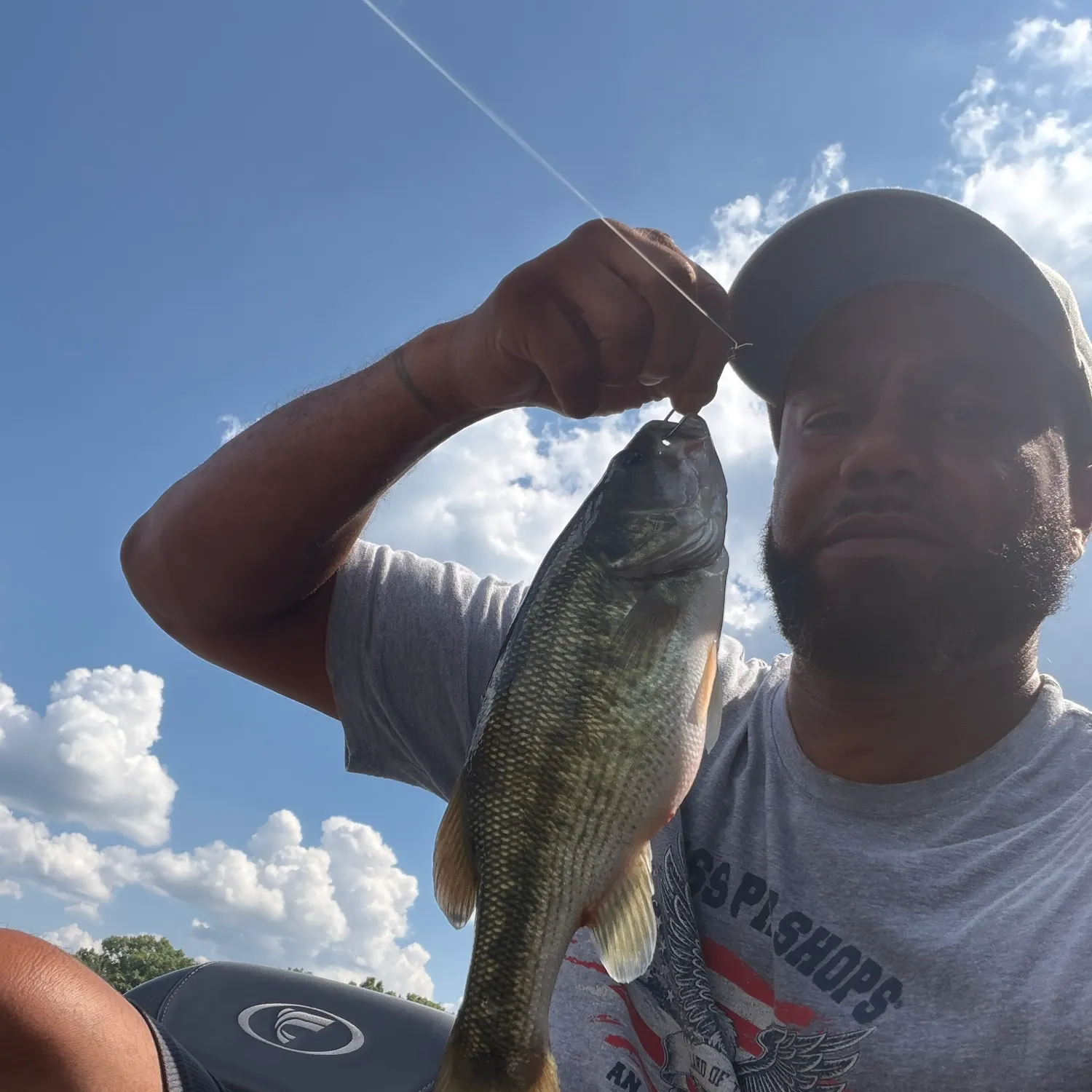 Spotted bass caught on Fishbrain