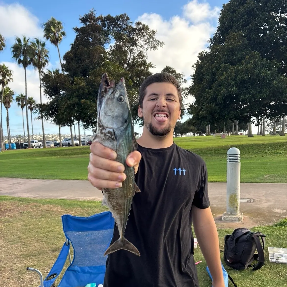 Pacific bonito caught on Fishbrain