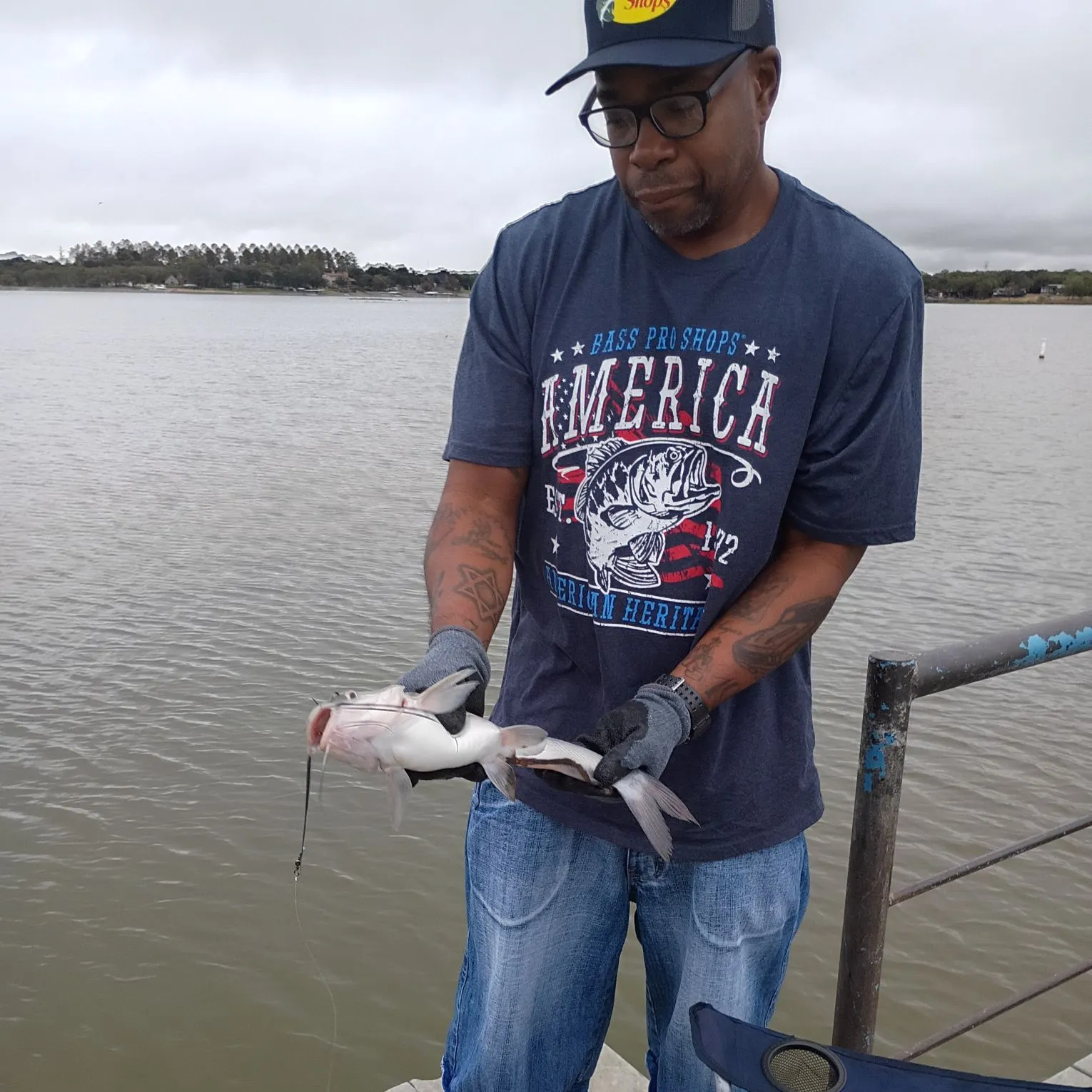 Channel catfish caught on Fishbrain