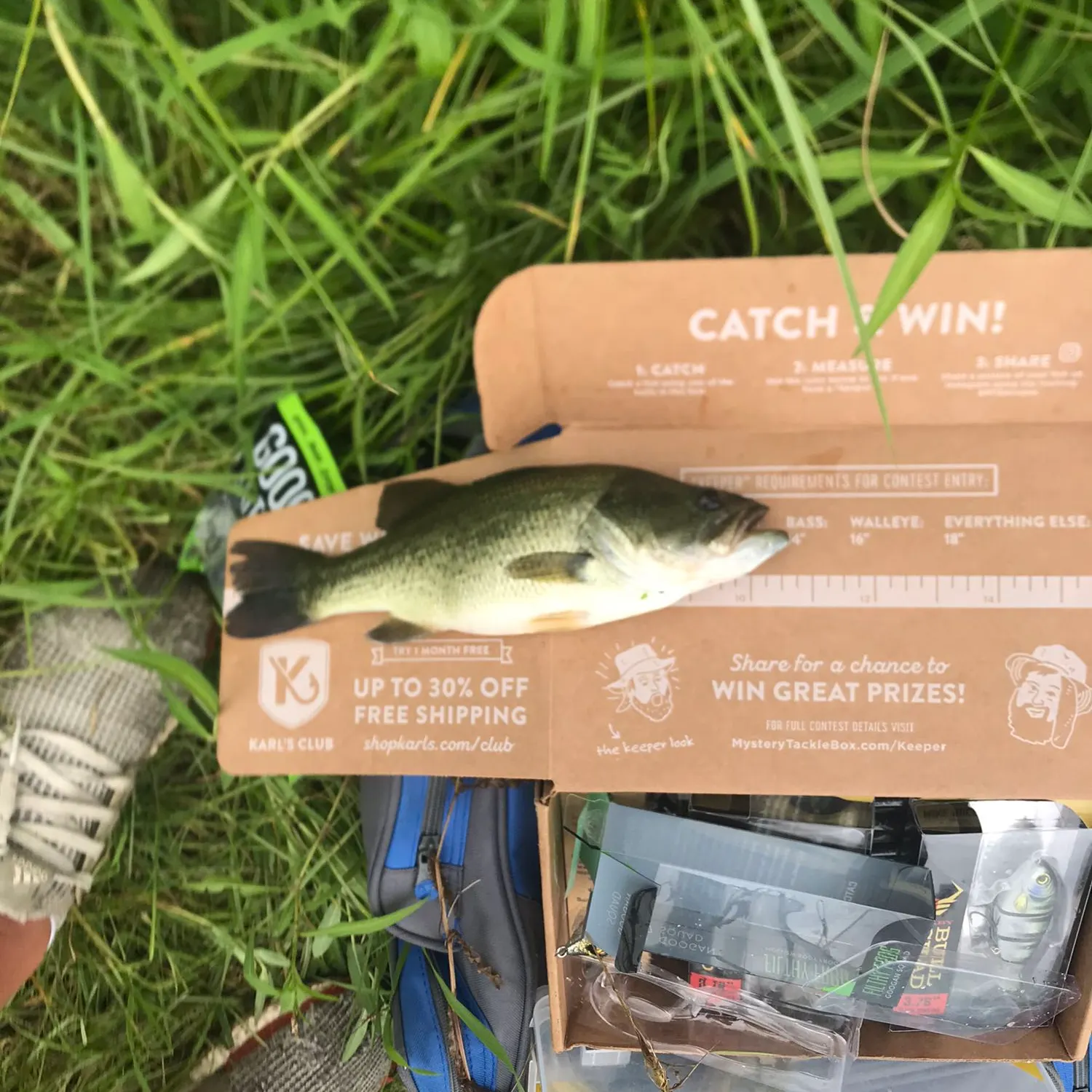 recently logged catches