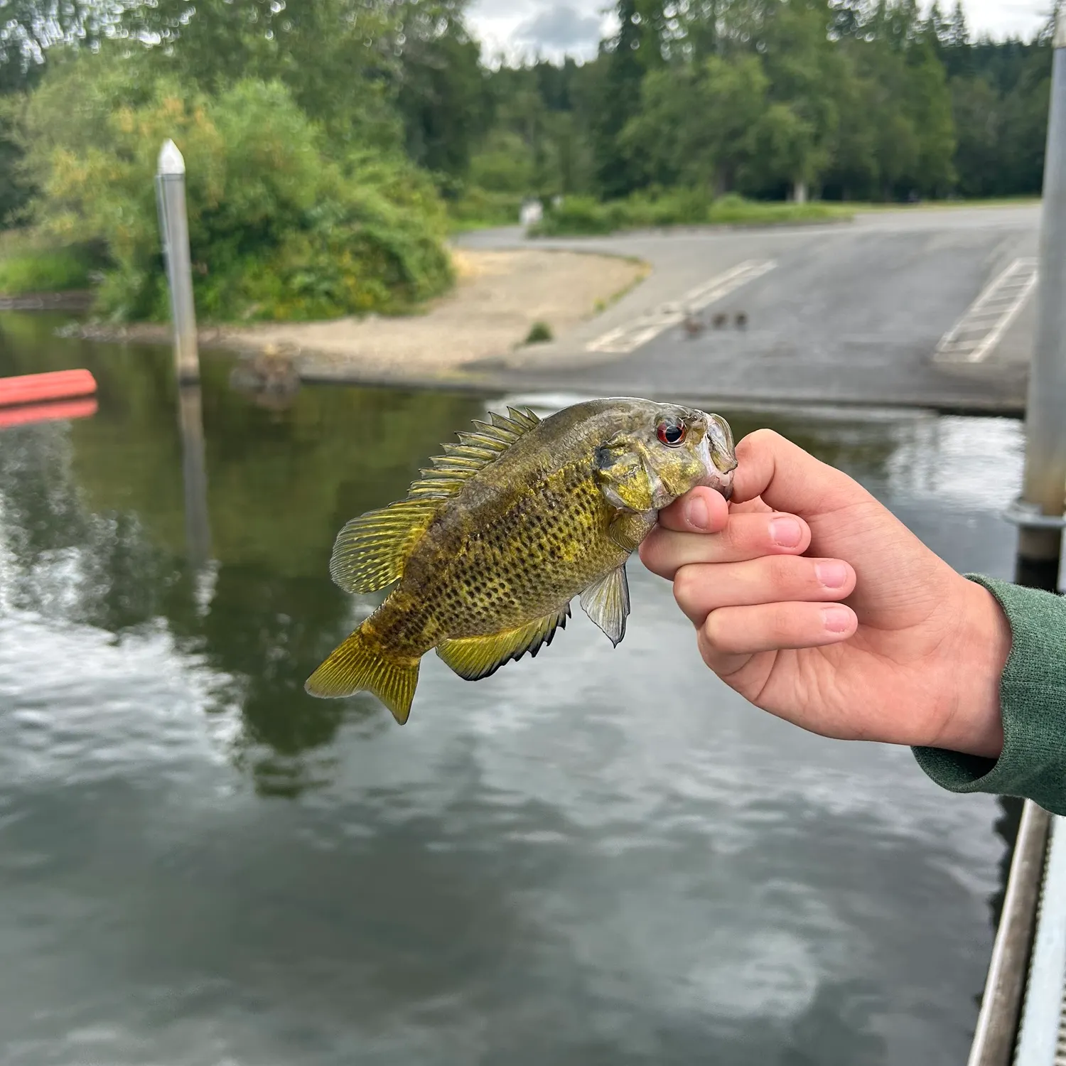 catch