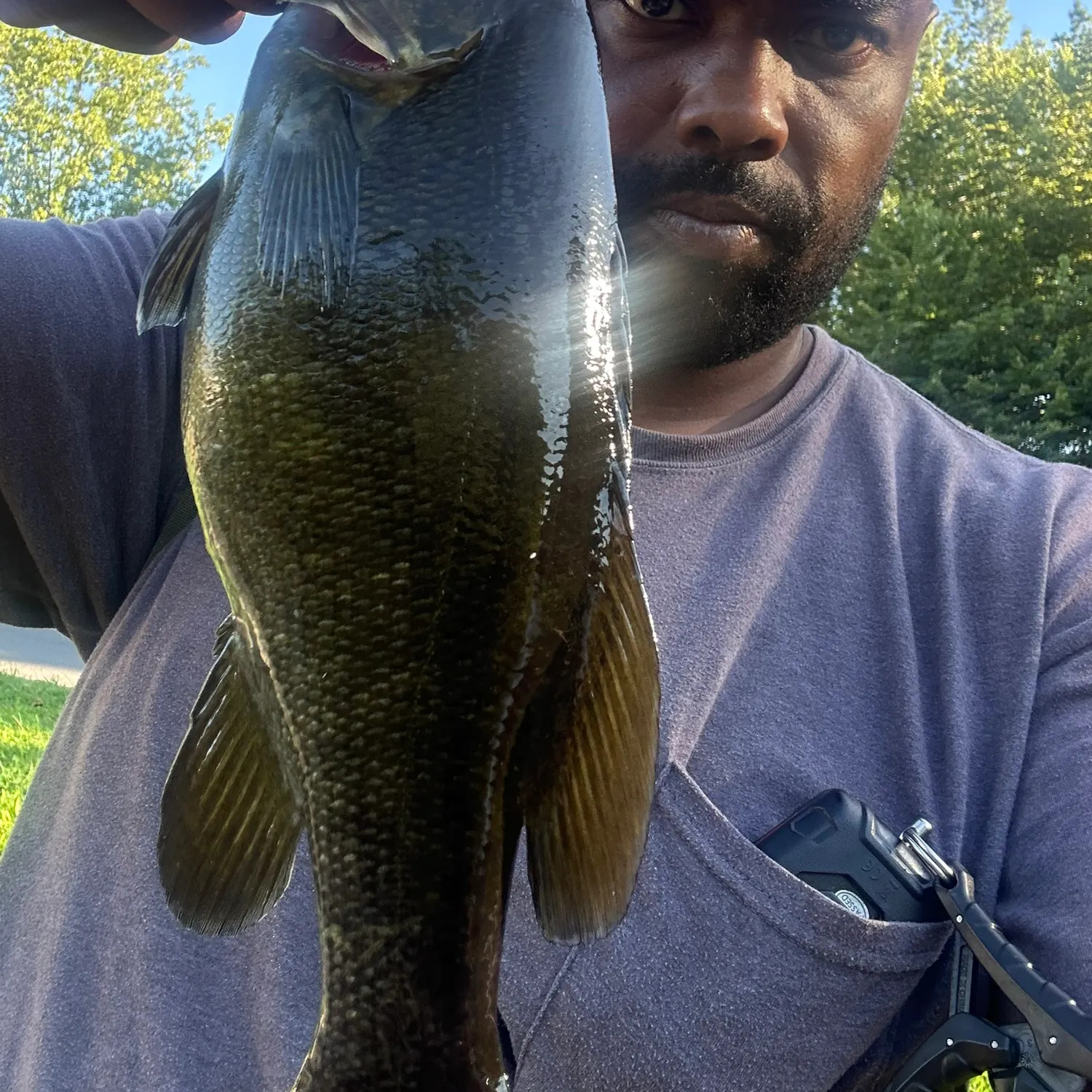 Smallmouth bass caught on Fishbrain
