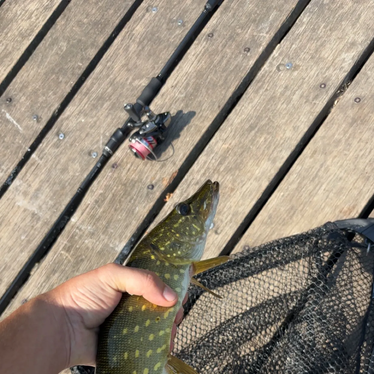 catch