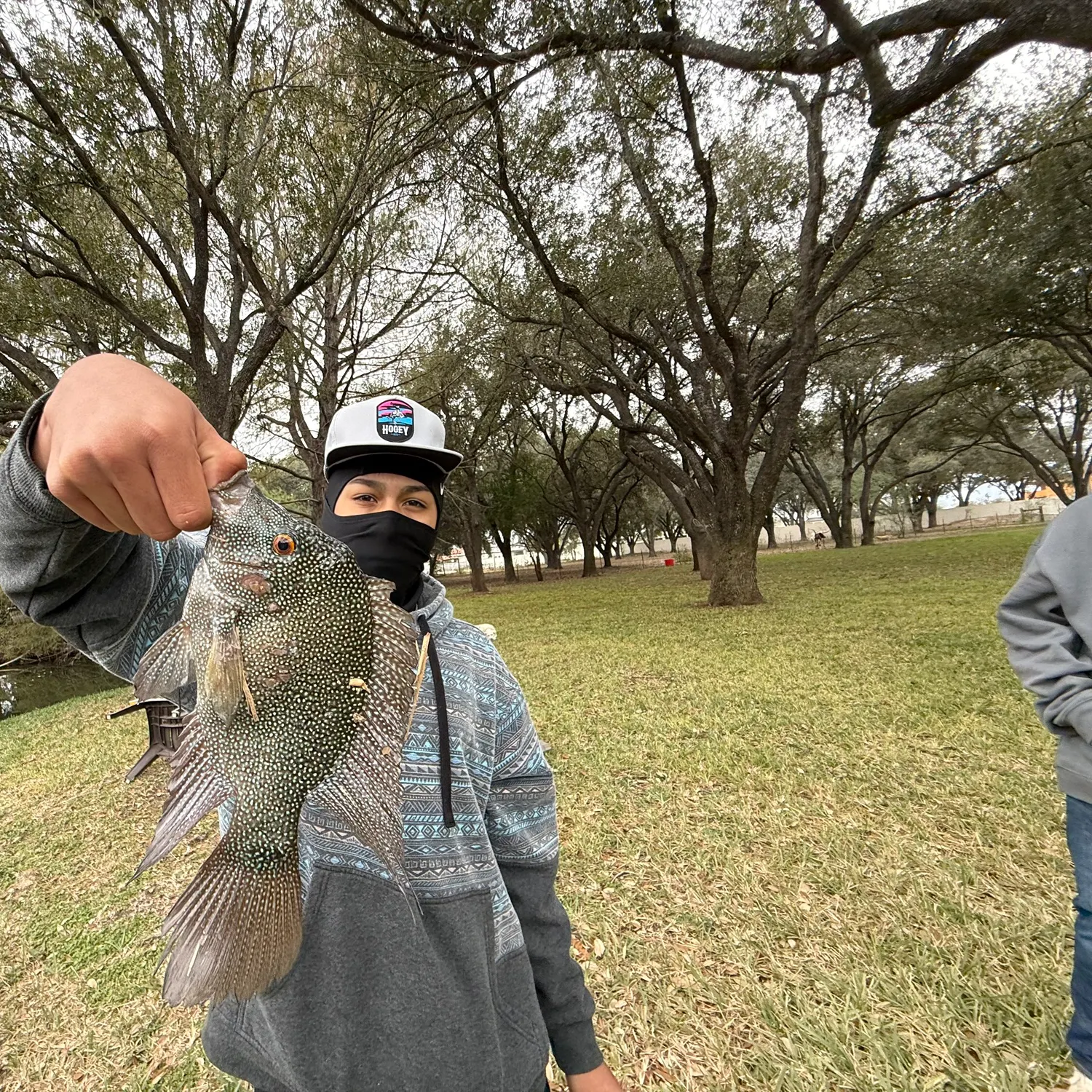 The most recent Rio Grande cichlid catches on Fishbrain