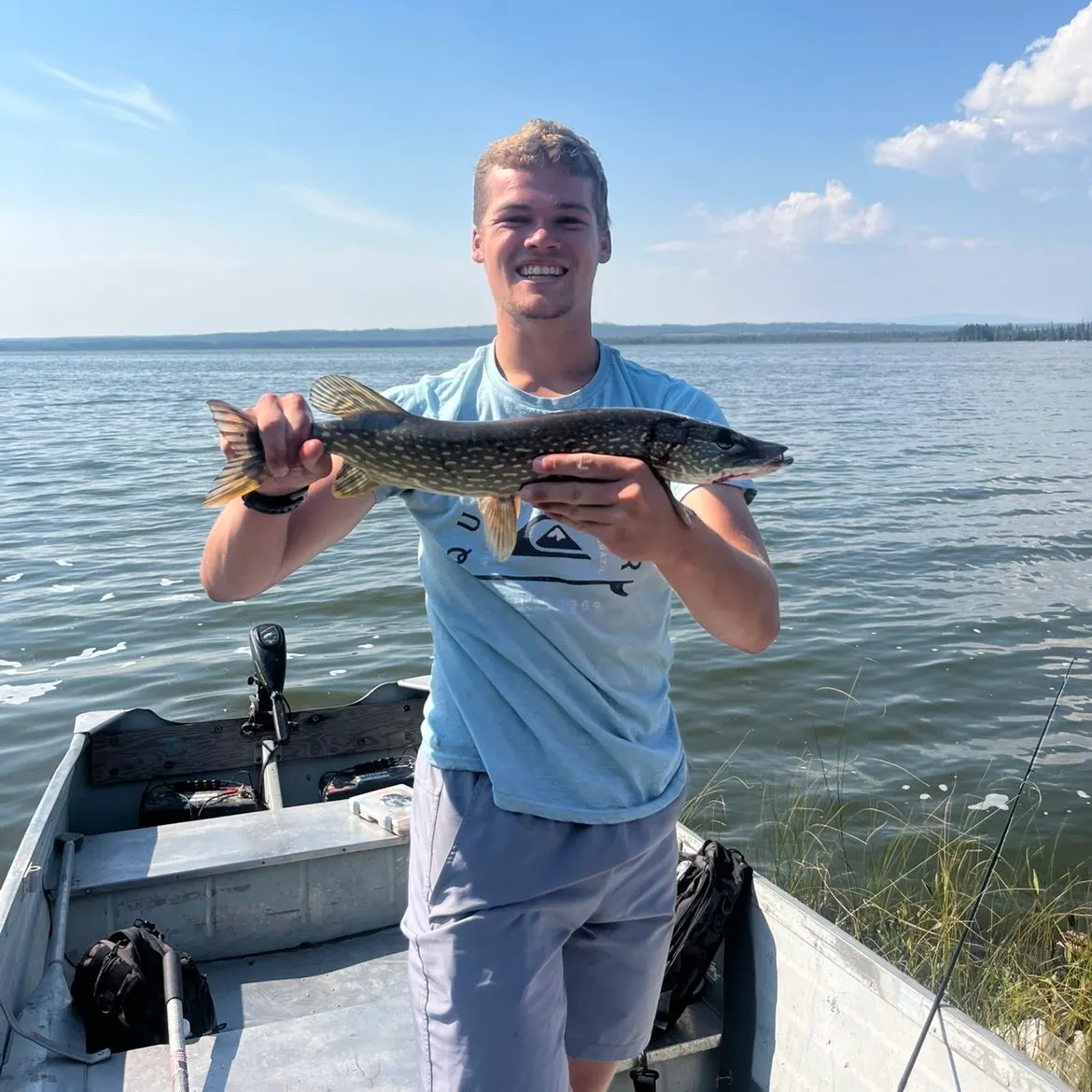 Northern pike caught on Fishbrain
