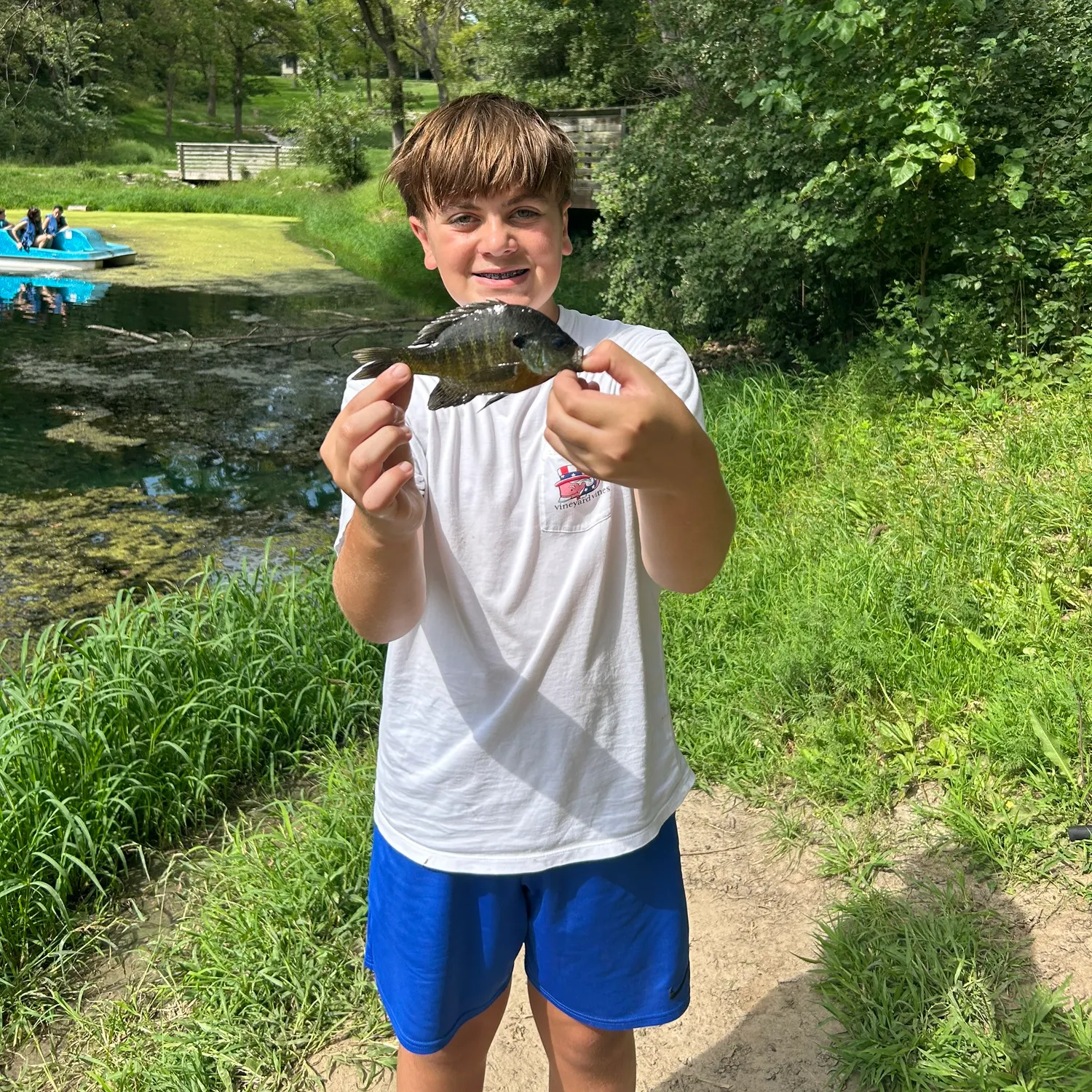 Bluegill caught on Fishbrain
