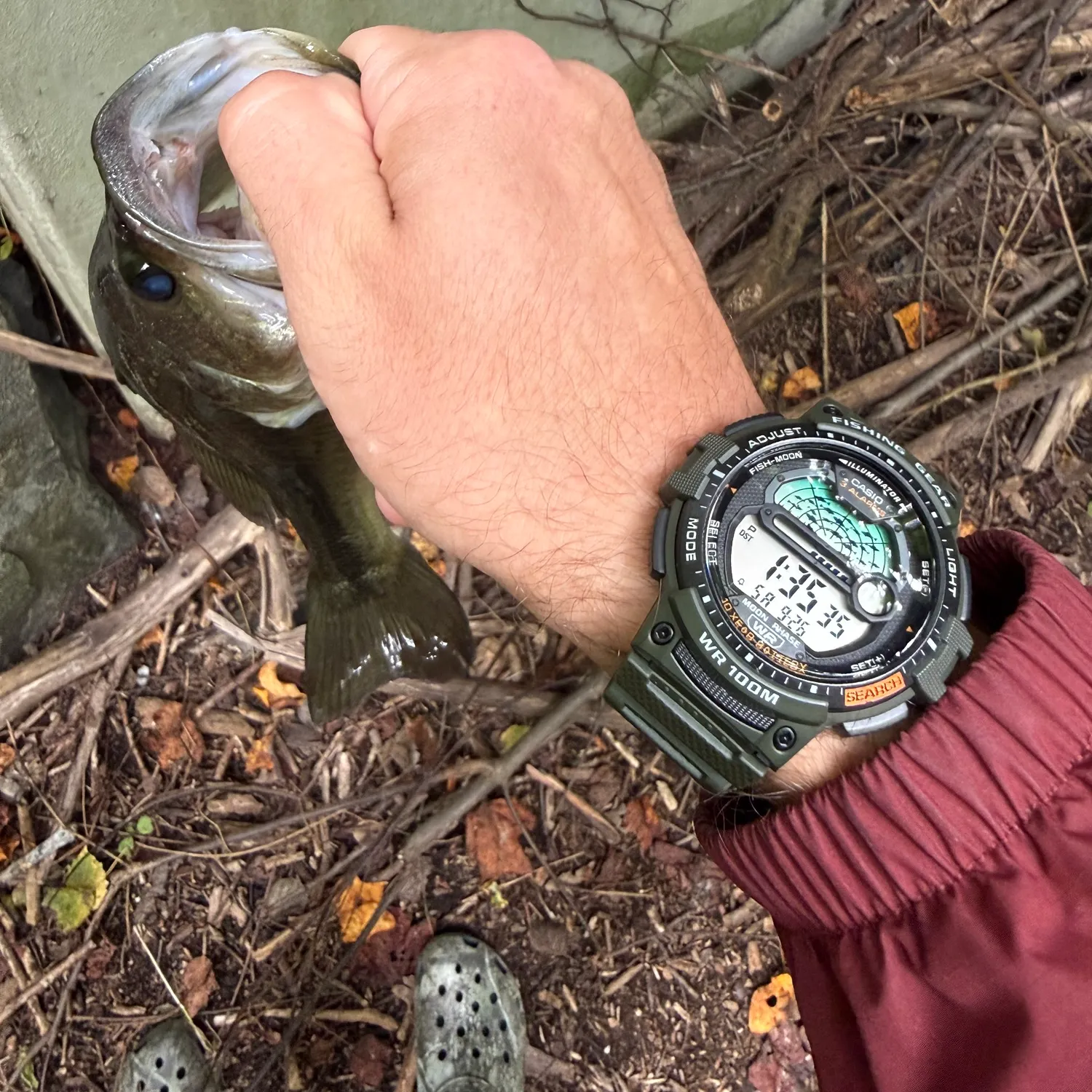 catch