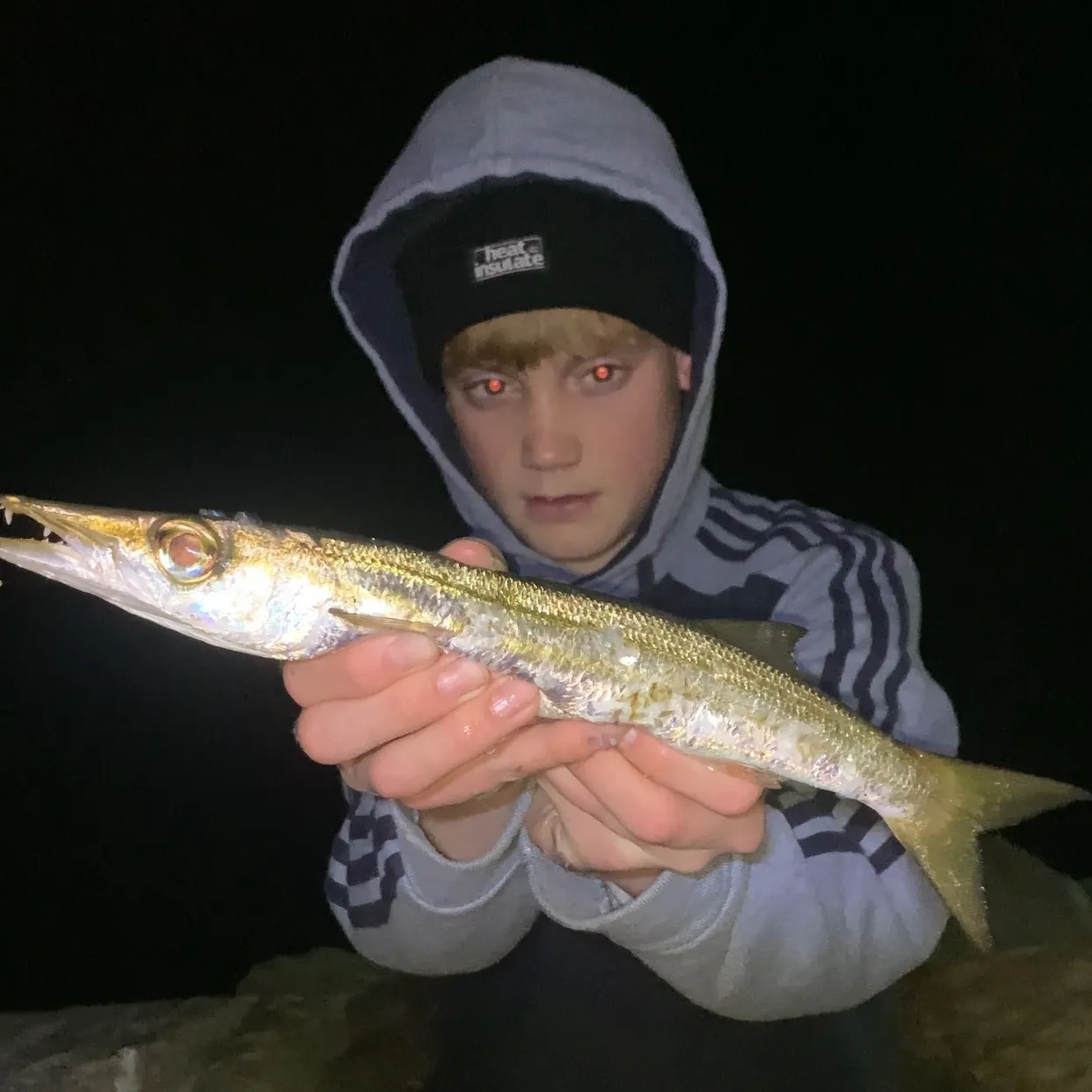 The most recent Australian barracuda catches on Fishbrain