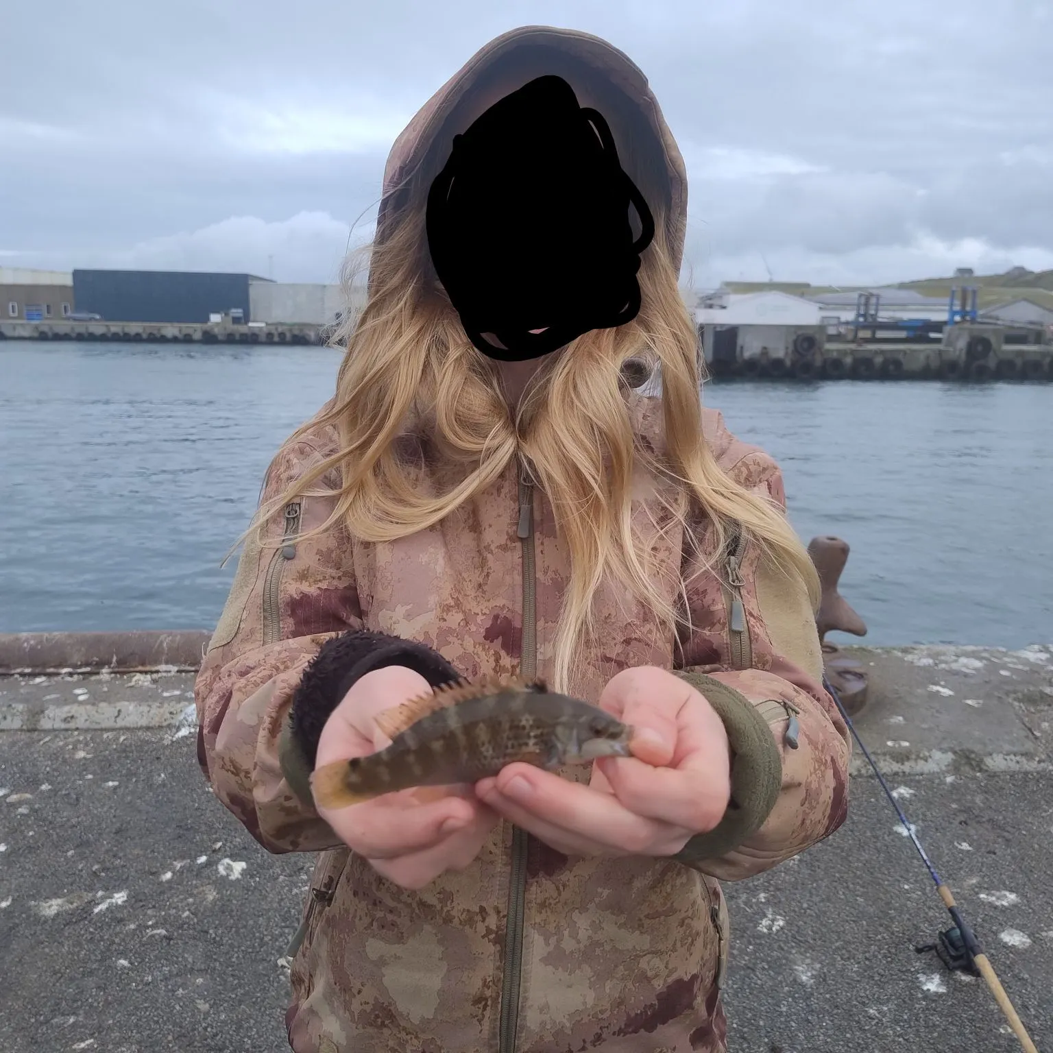 The most recent Rock cook catches on Fishbrain
