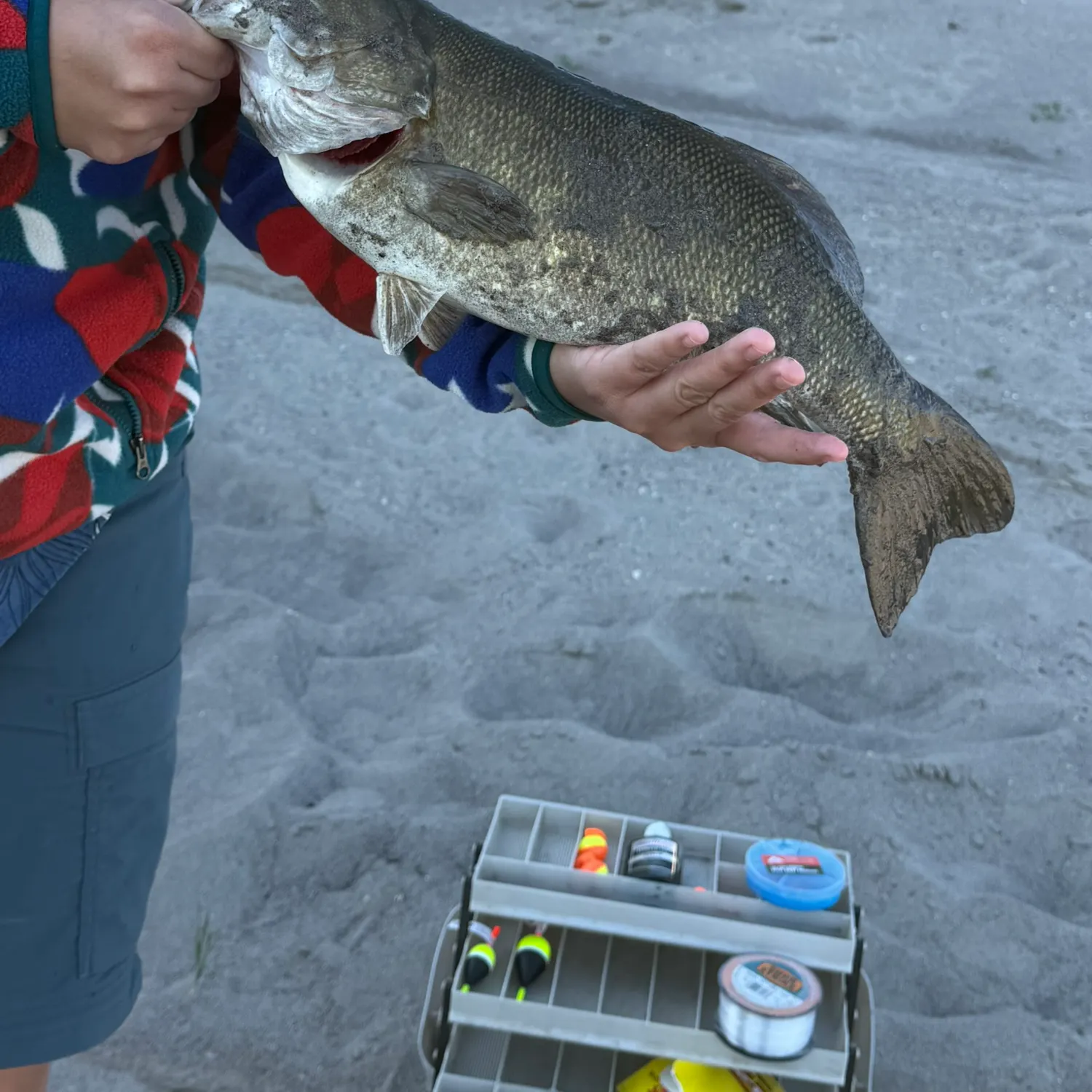 Smallmouth bass caught on Fishbrain