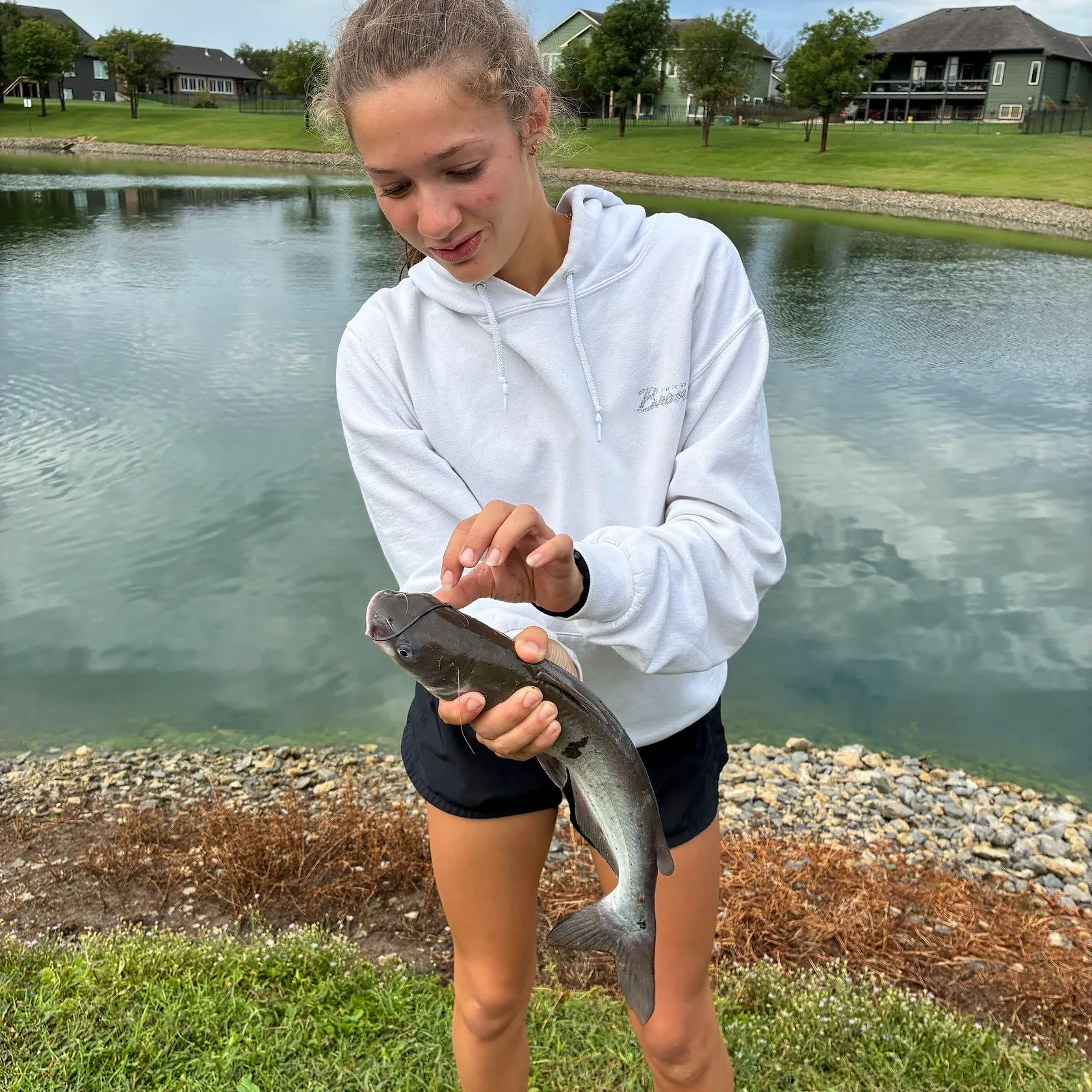 Channel catfish caught on Fishbrain